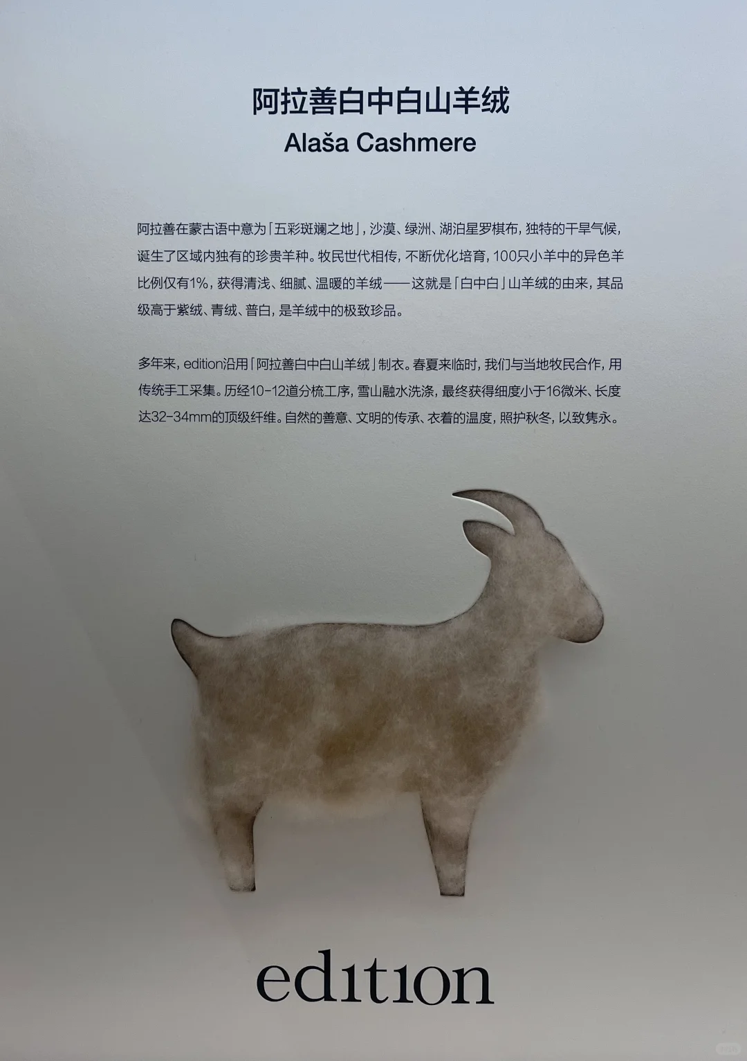 edition这件针织衫好软糯~好喜爱?