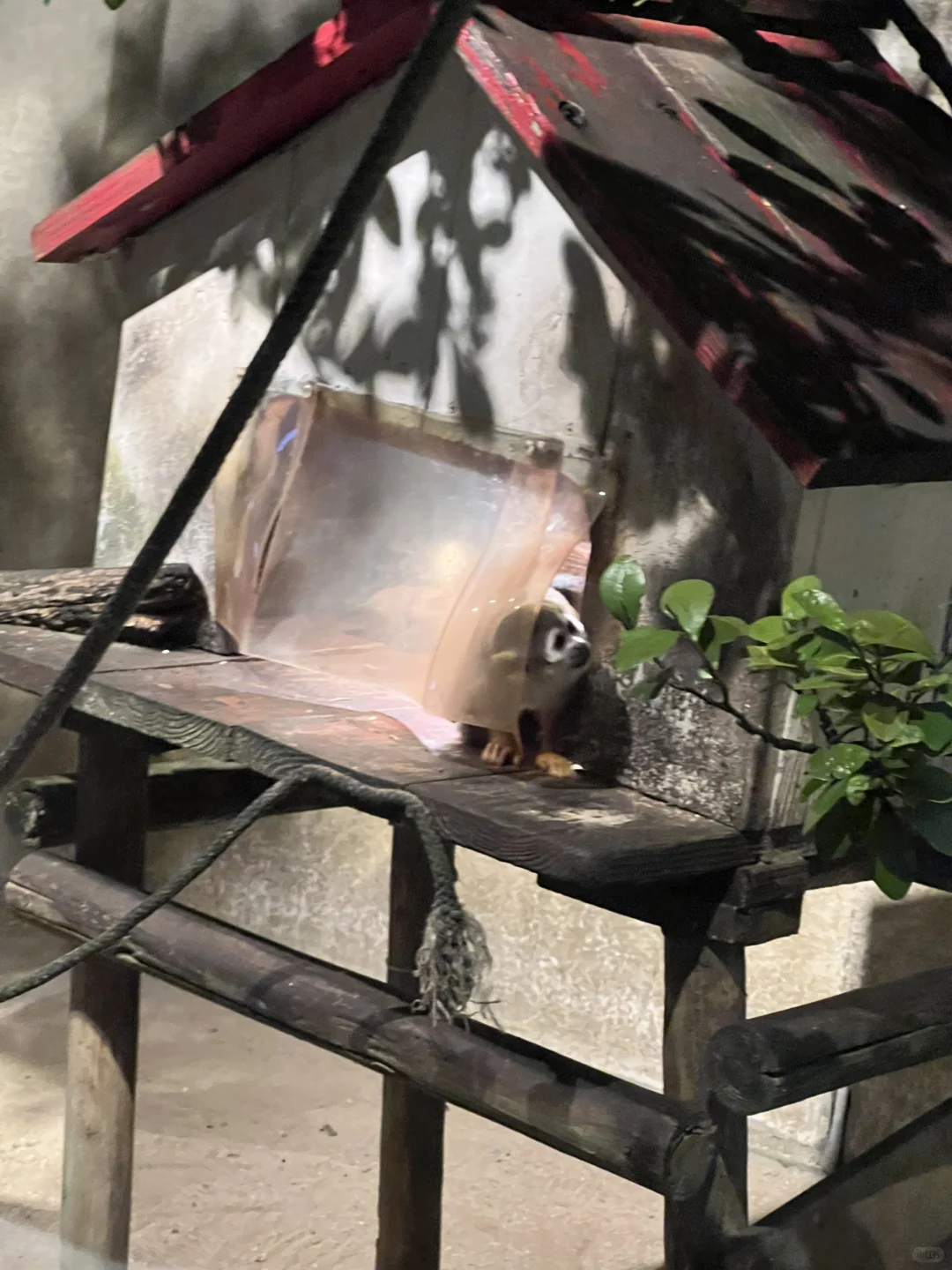 冲绳8天7晚｜?住哪里