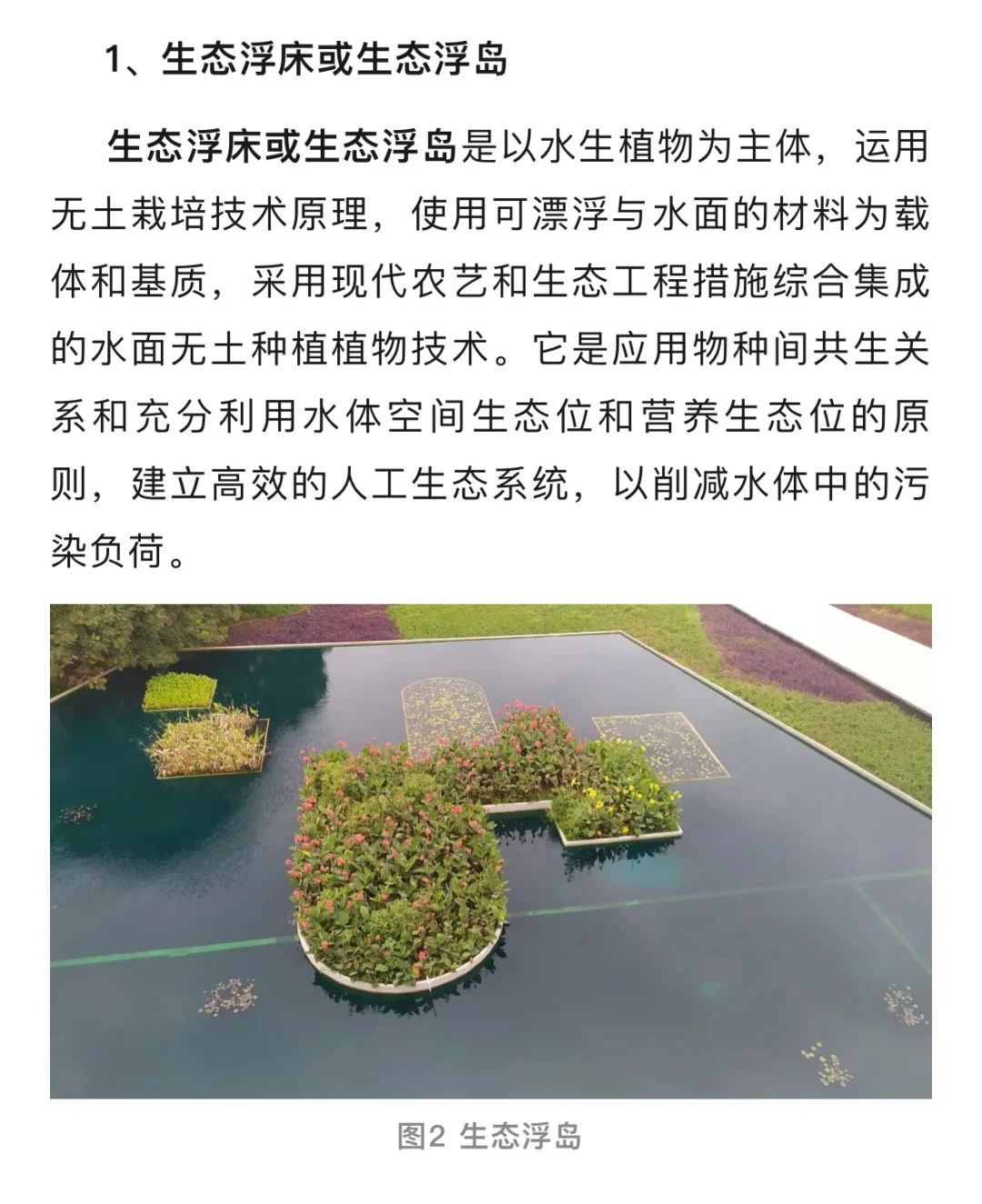 黑臭河道治理技术 ，要点在于生态修复