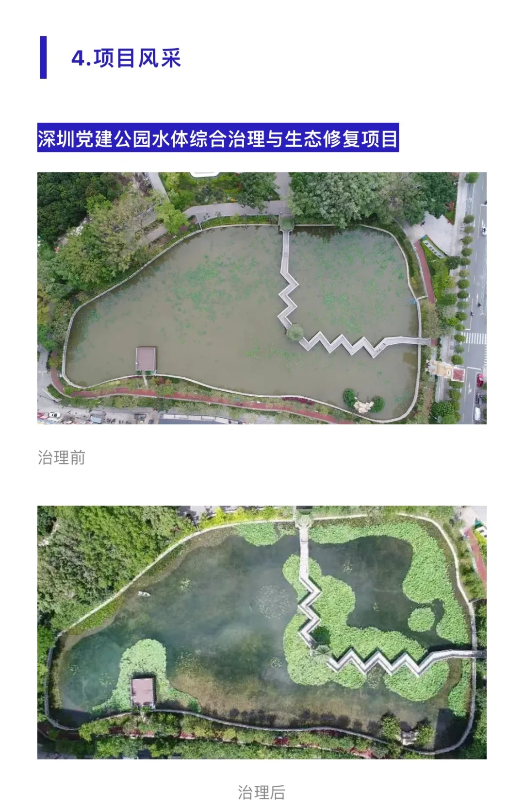 水生植物在水生态修复中的应用问题……