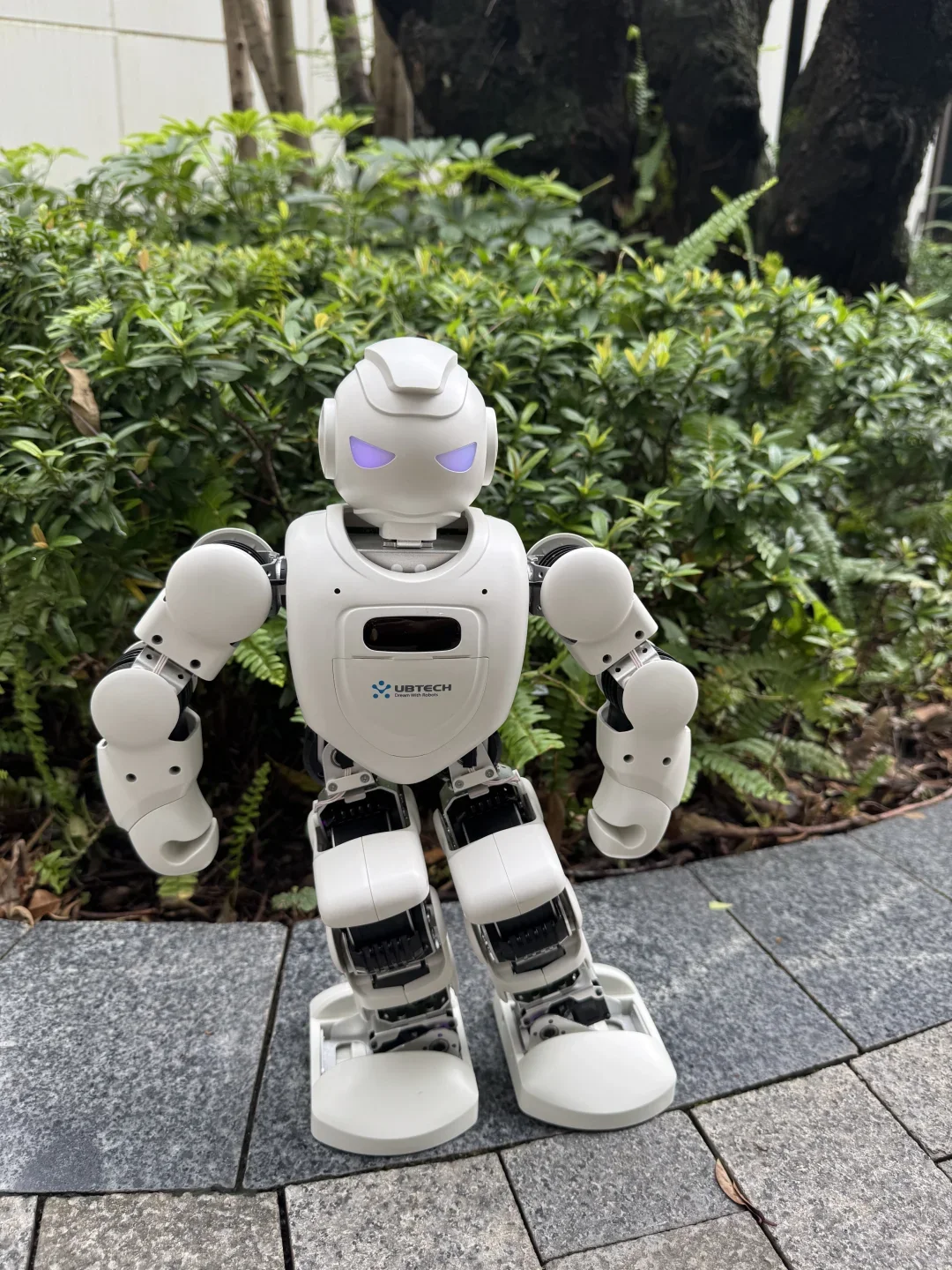 “陪娃神器”——一个会自己干活的玩伴真香