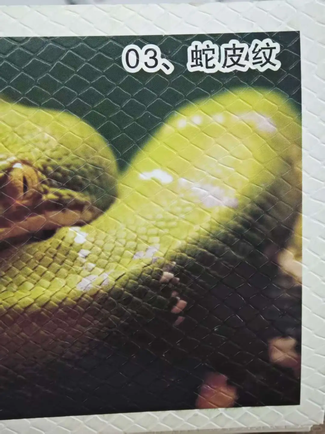 各种纹样的压印