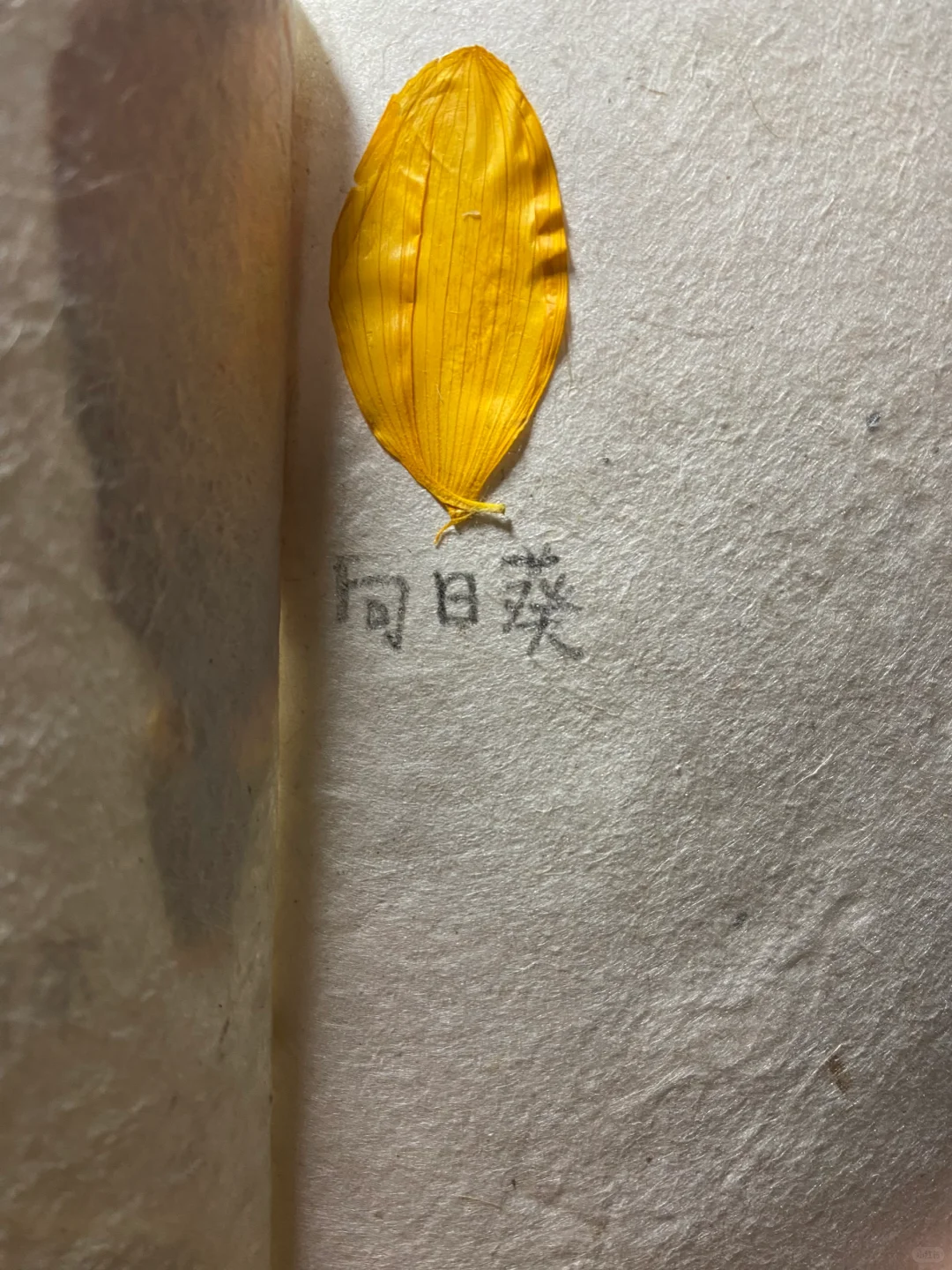 当亲眼看到薄膜干涉时，世界都静止了