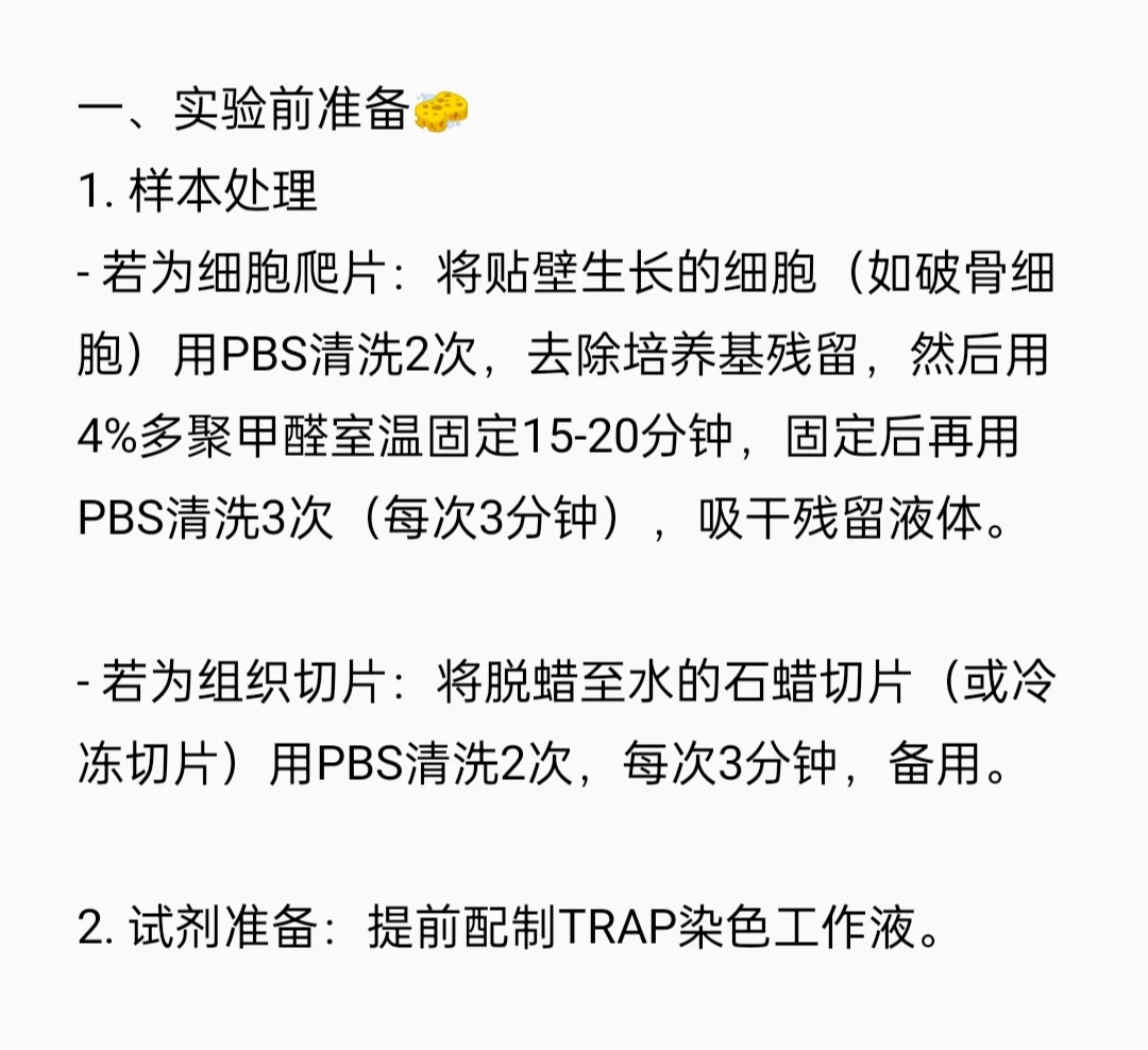 TRAP染色实验流程