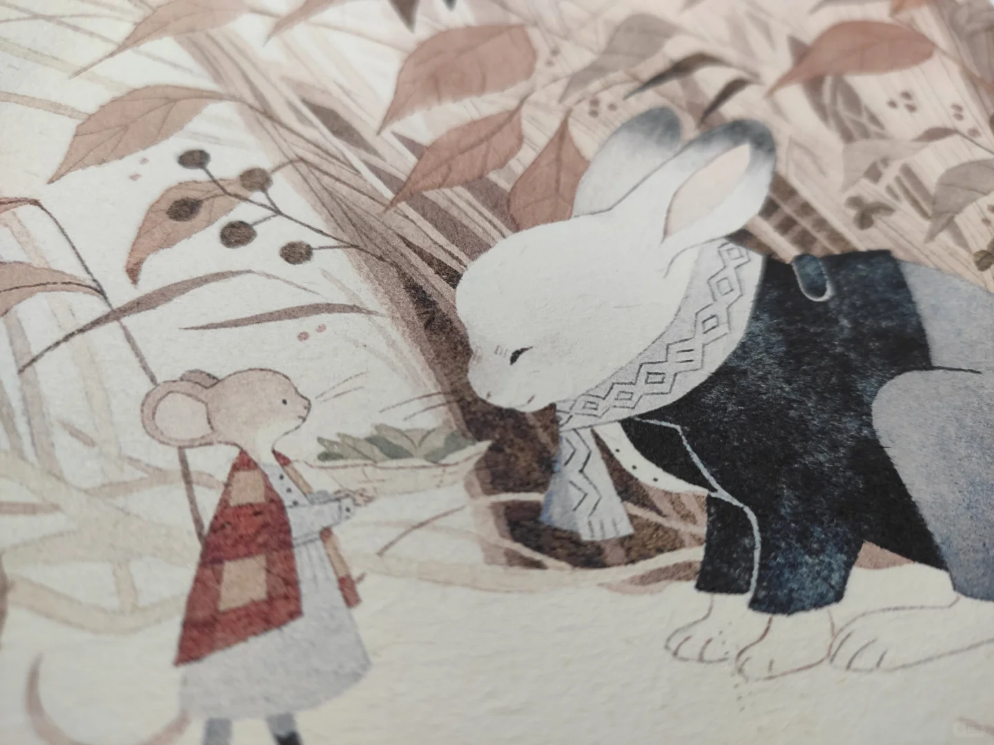 爱普生3251的纸张拓展