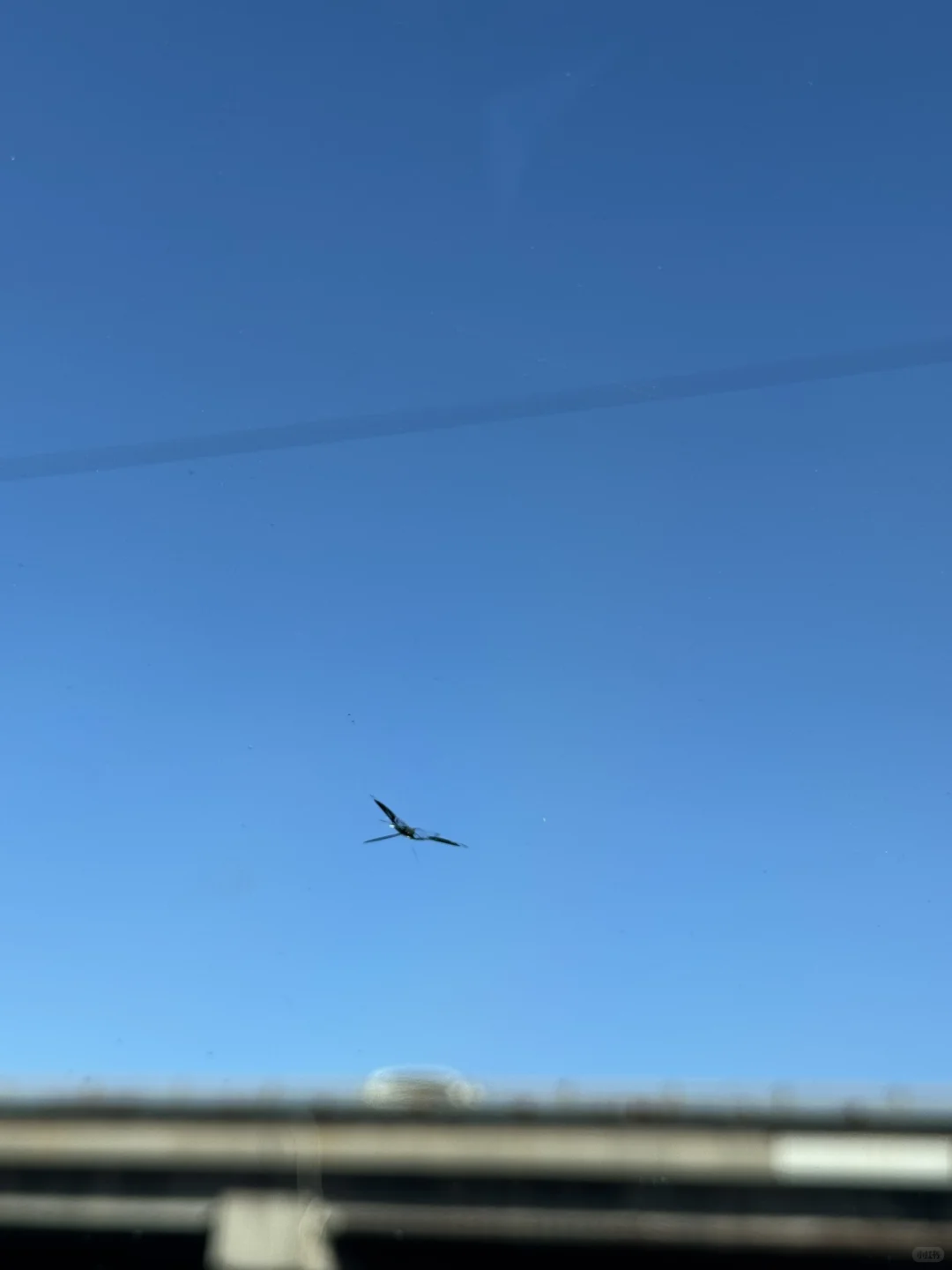 北京京良路石子儿崩车挡风玻璃 索赔路政