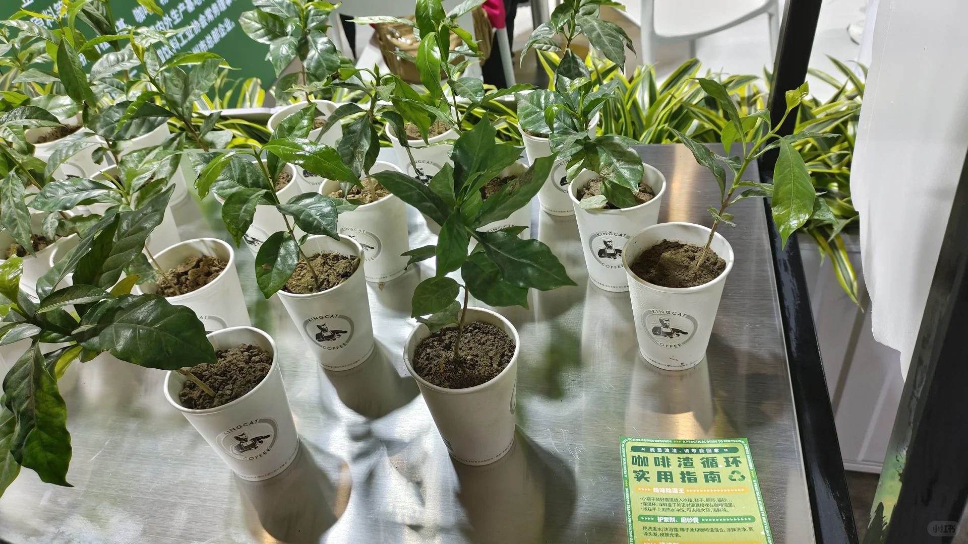 最喜欢的餐饮展?