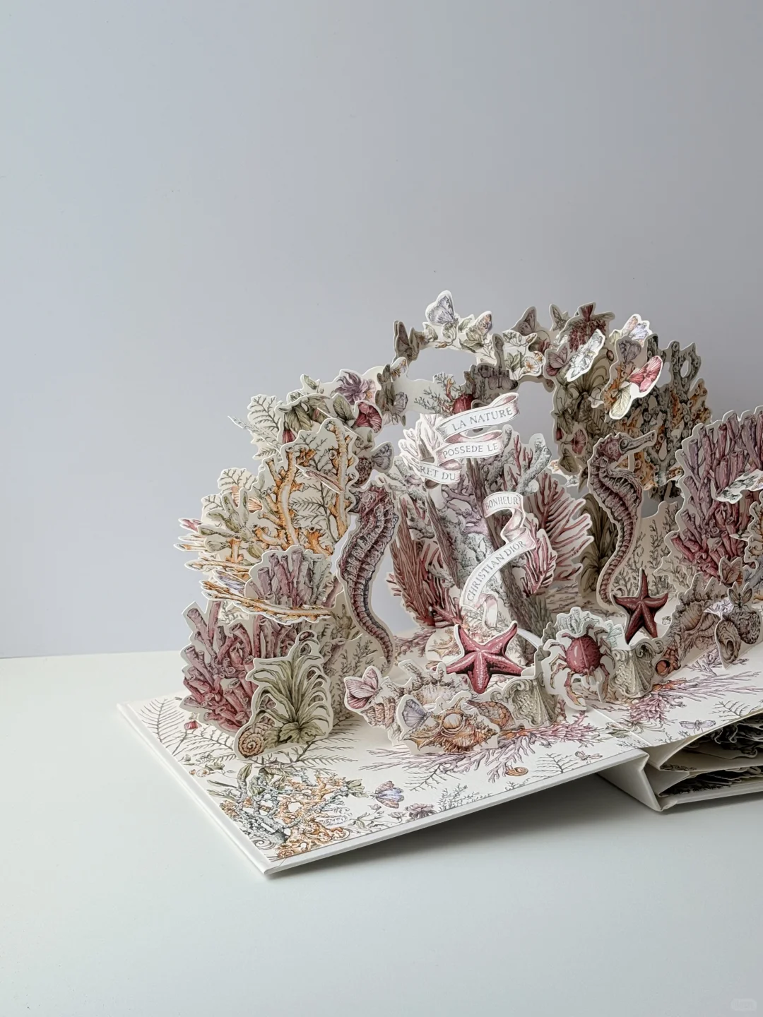 终于收到了这本迪奥立体书