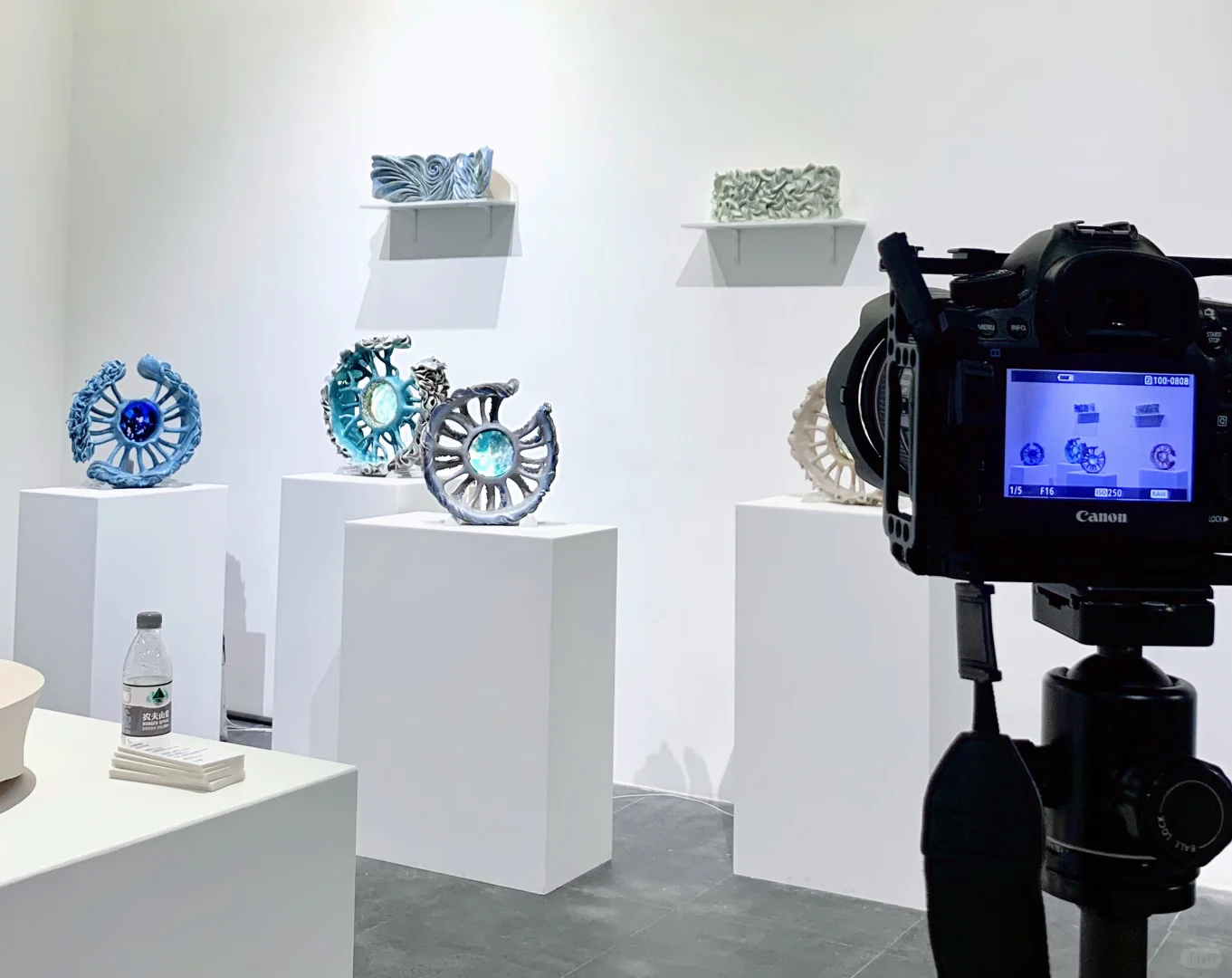 广美毕设-陶瓷艺术