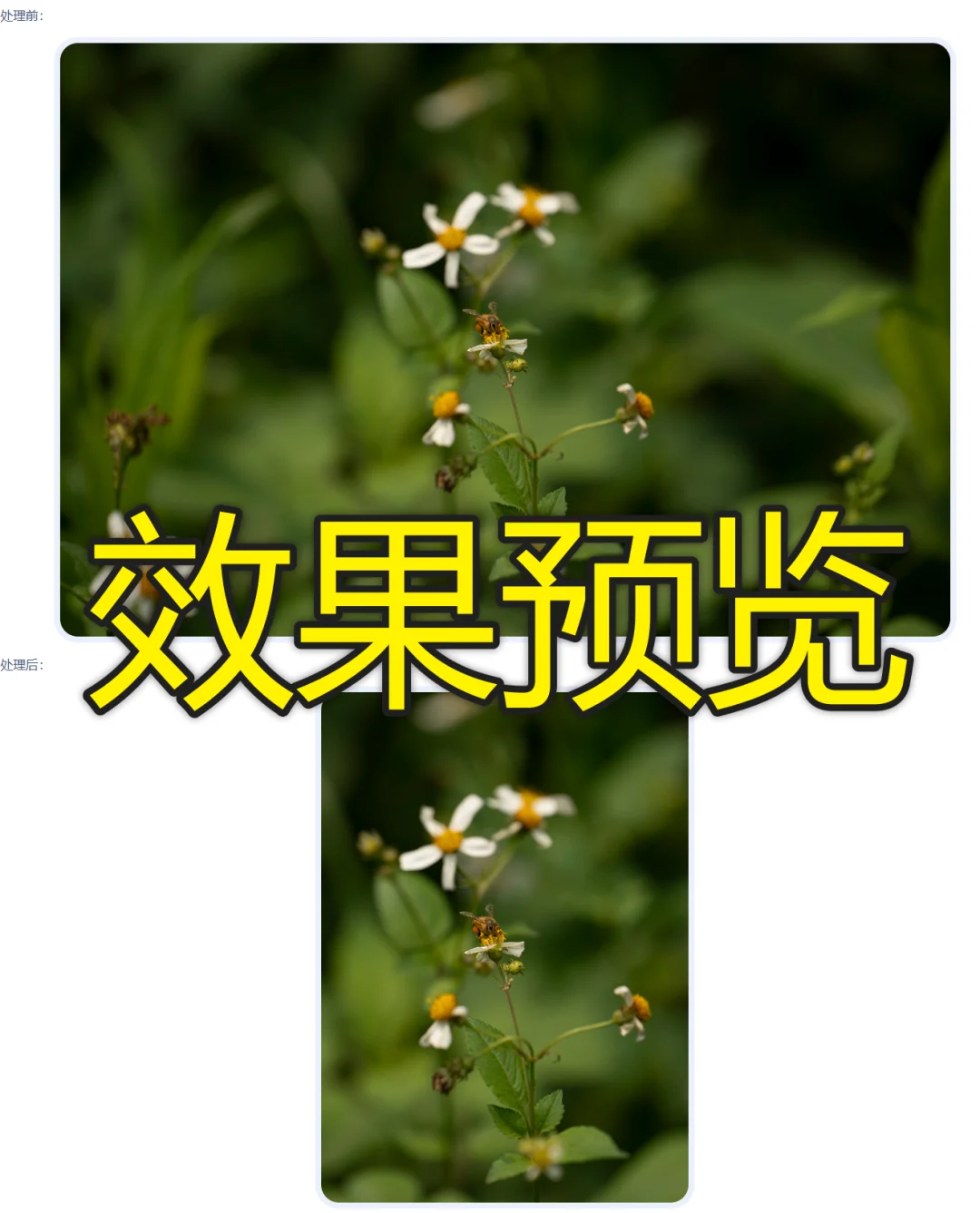 如何对大量图片自定义选区进行批量裁剪?