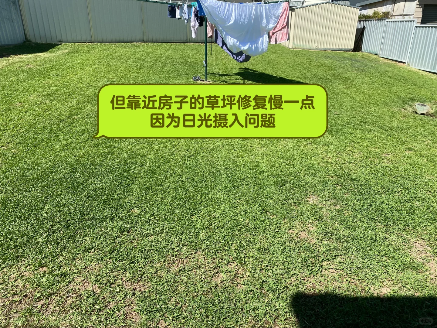 草坪修复与补给