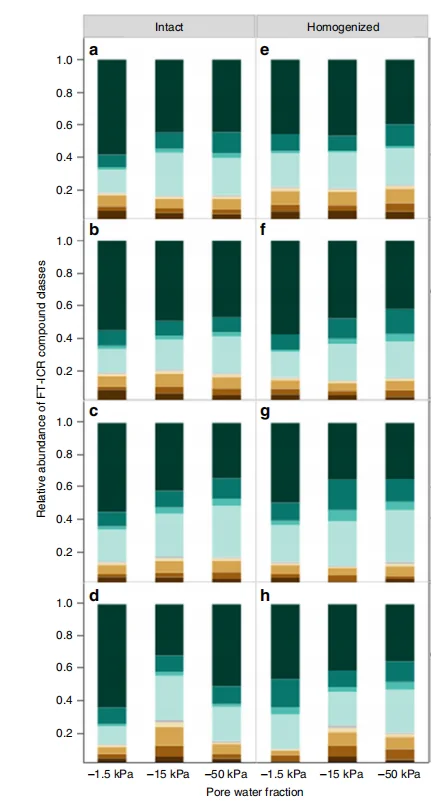 干旱及其后土壤碳（C）动态