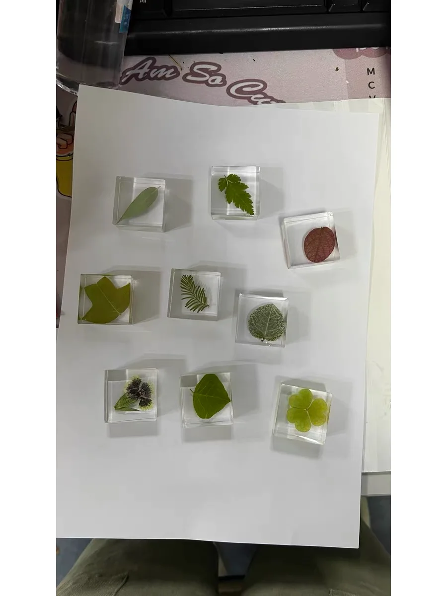 立体滴胶标本制作过程的避坑指南总结！！！