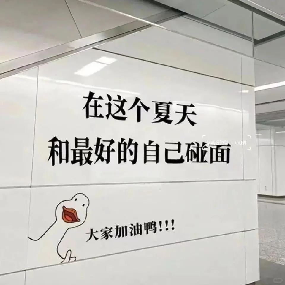 考上啦粉笔晨读笔记Day31局长们上班啦