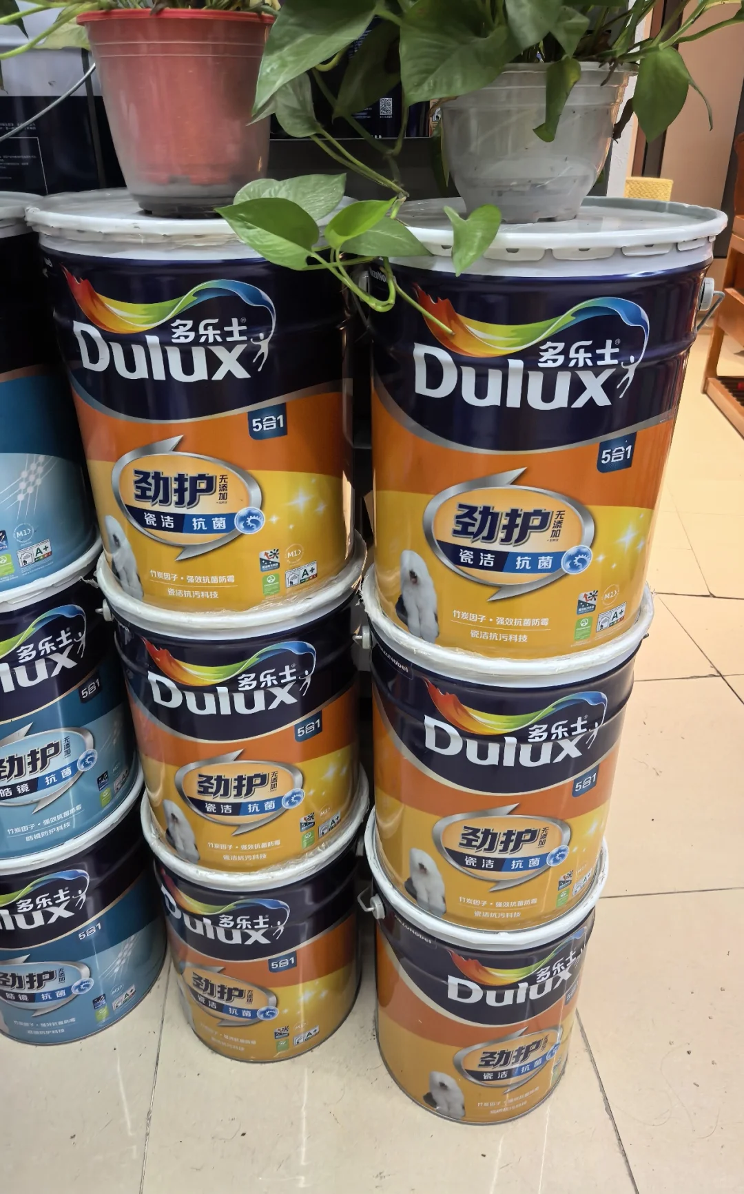 多乐士劲护系列乳胶漆怎么选