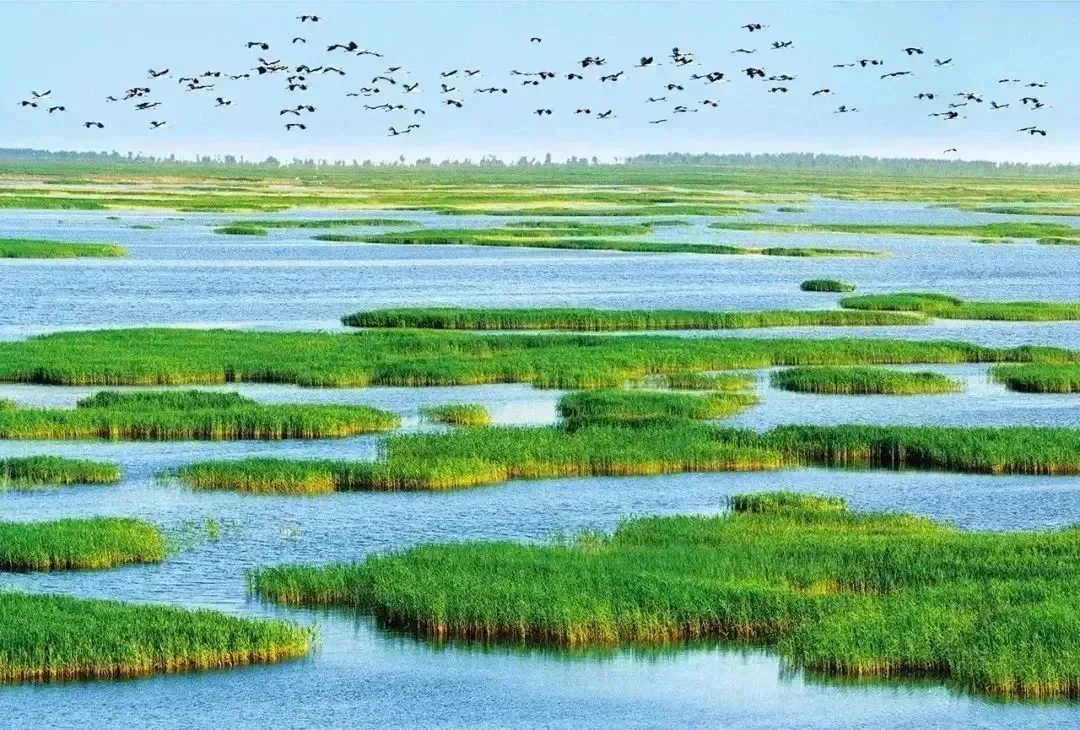 水环境生态修复的主要措施…