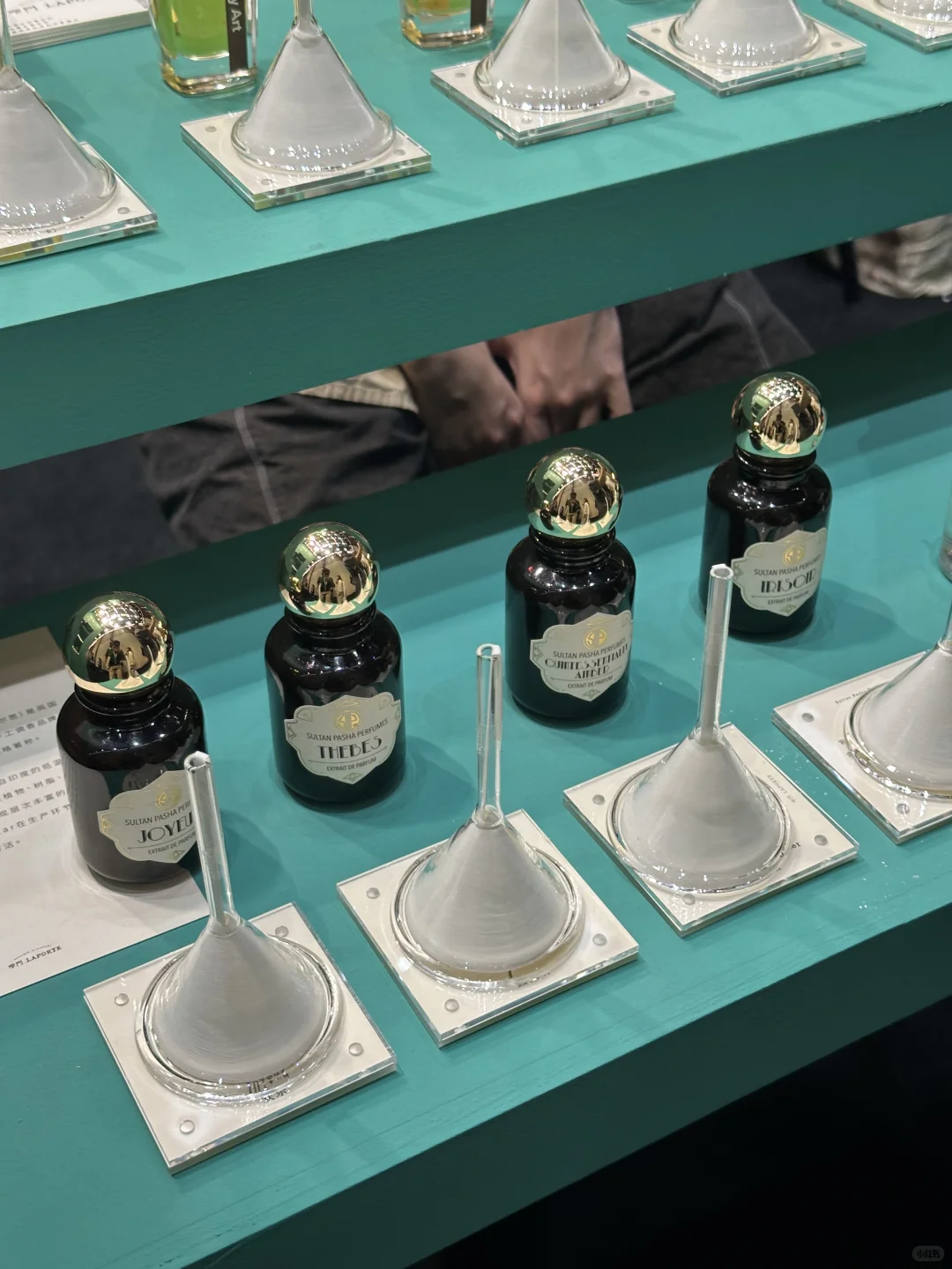 气味上海·公众日逛展攻略来啦!