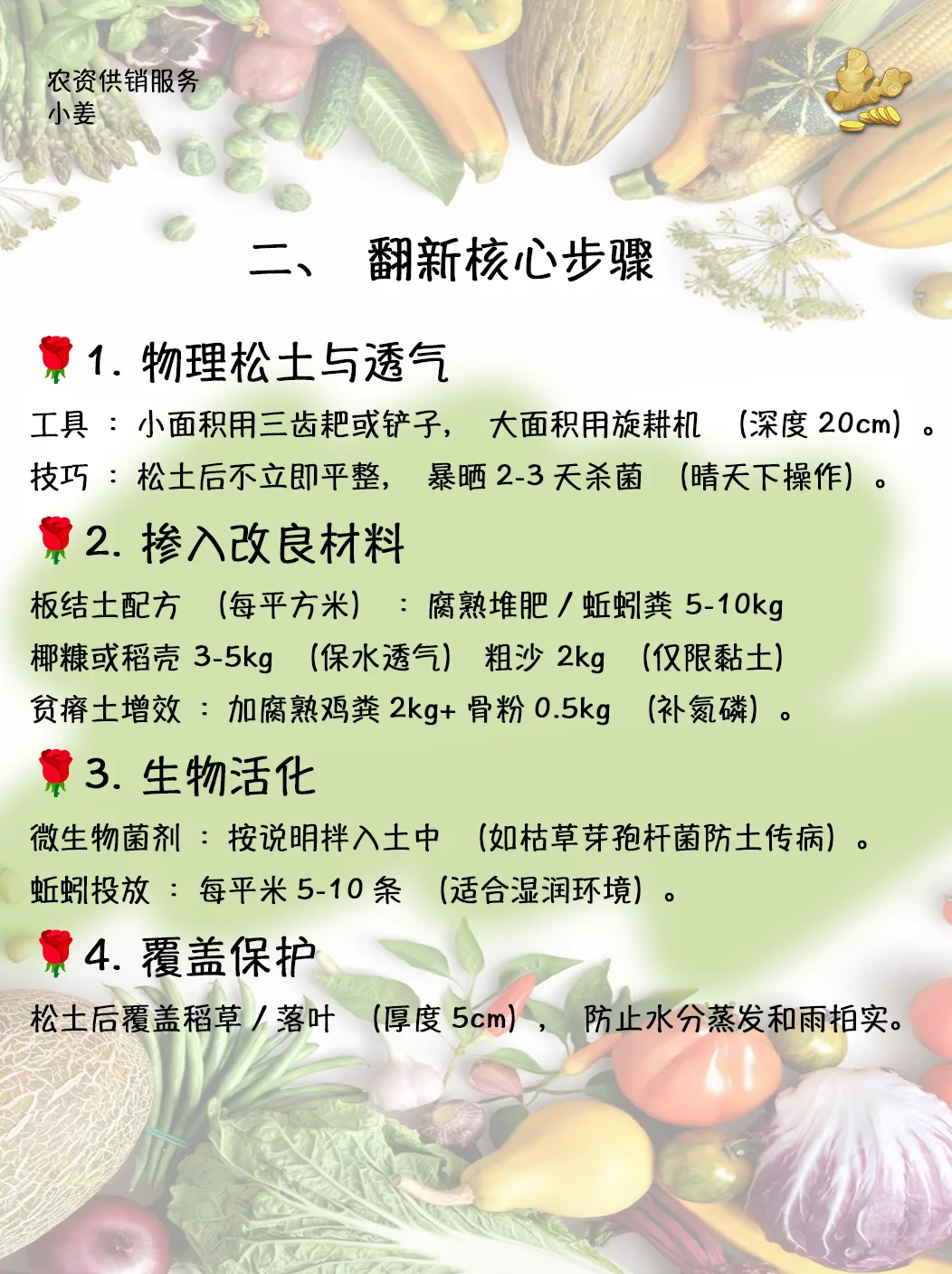 ?【总结篇】小菜园旧土翻新判断及处理