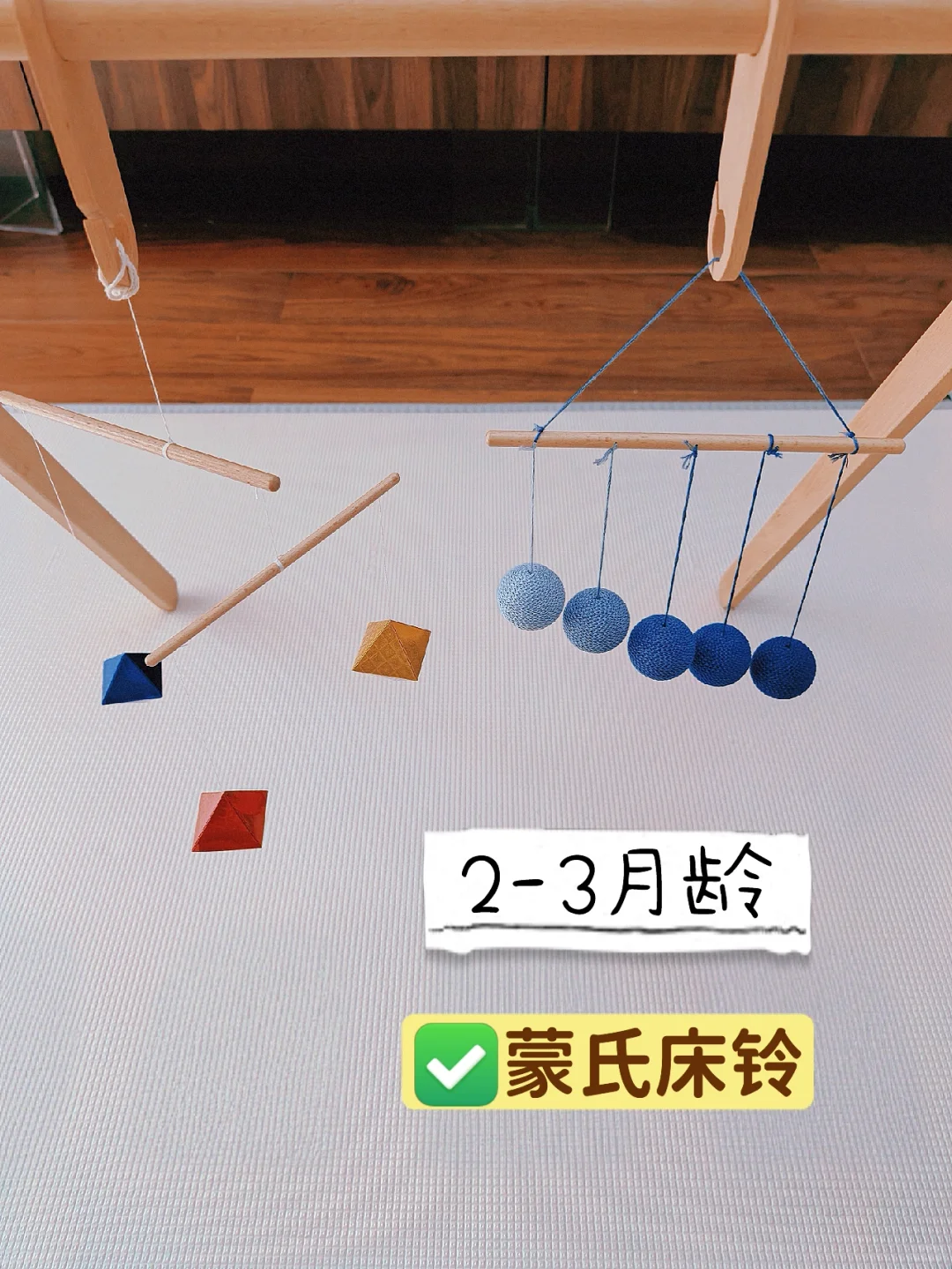 小月龄蒙氏玩具（精华版）