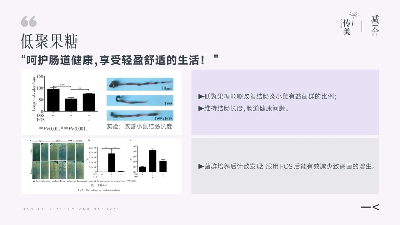 0元体验科学减脂黑科技|减舍谷物蛋白棒
