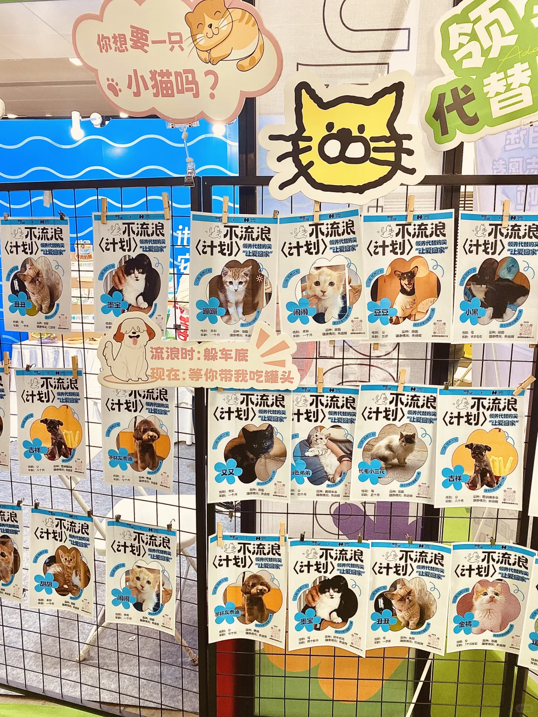 2025 UPet北京有宠生活展