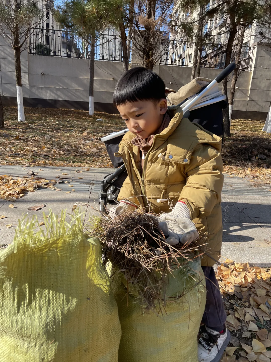 堆肥初体验，这样能成功吗