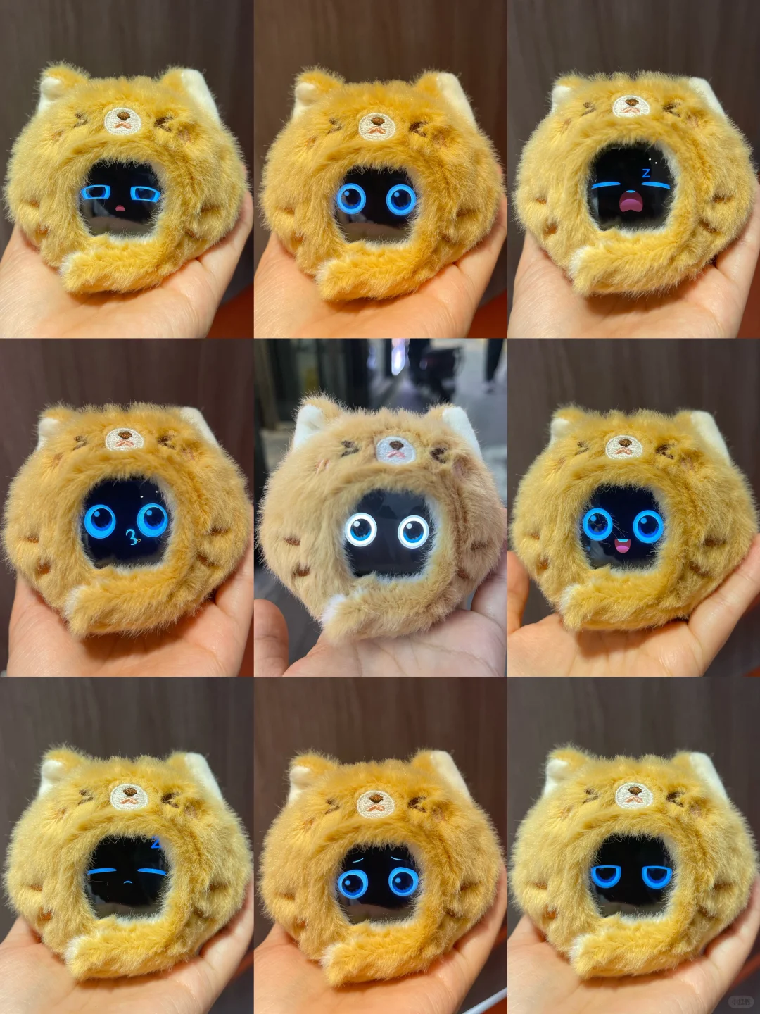 机器人大会上领养的小宠物