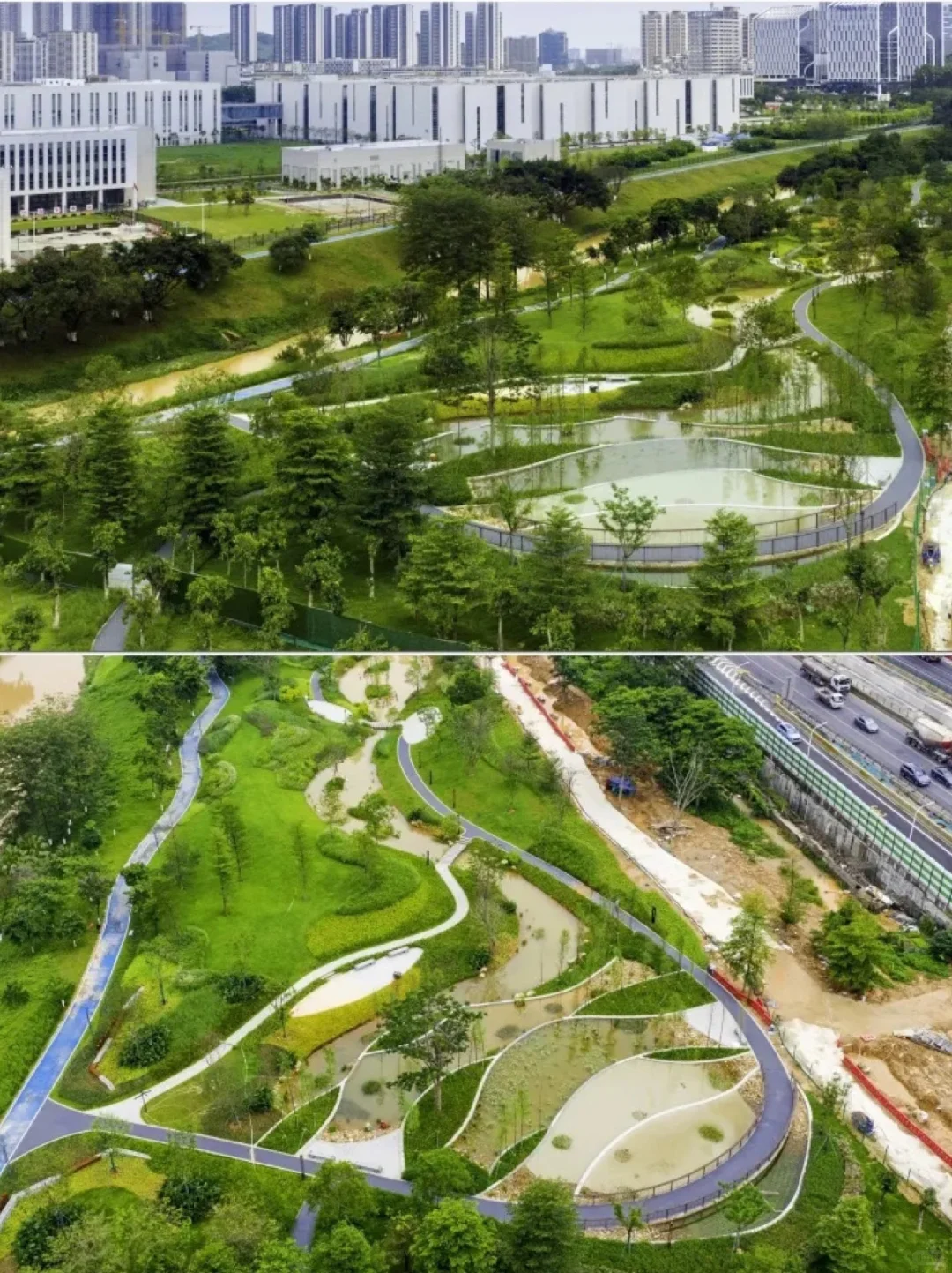 从劣五类水到幸福之河！广州黄埔南岗河更新