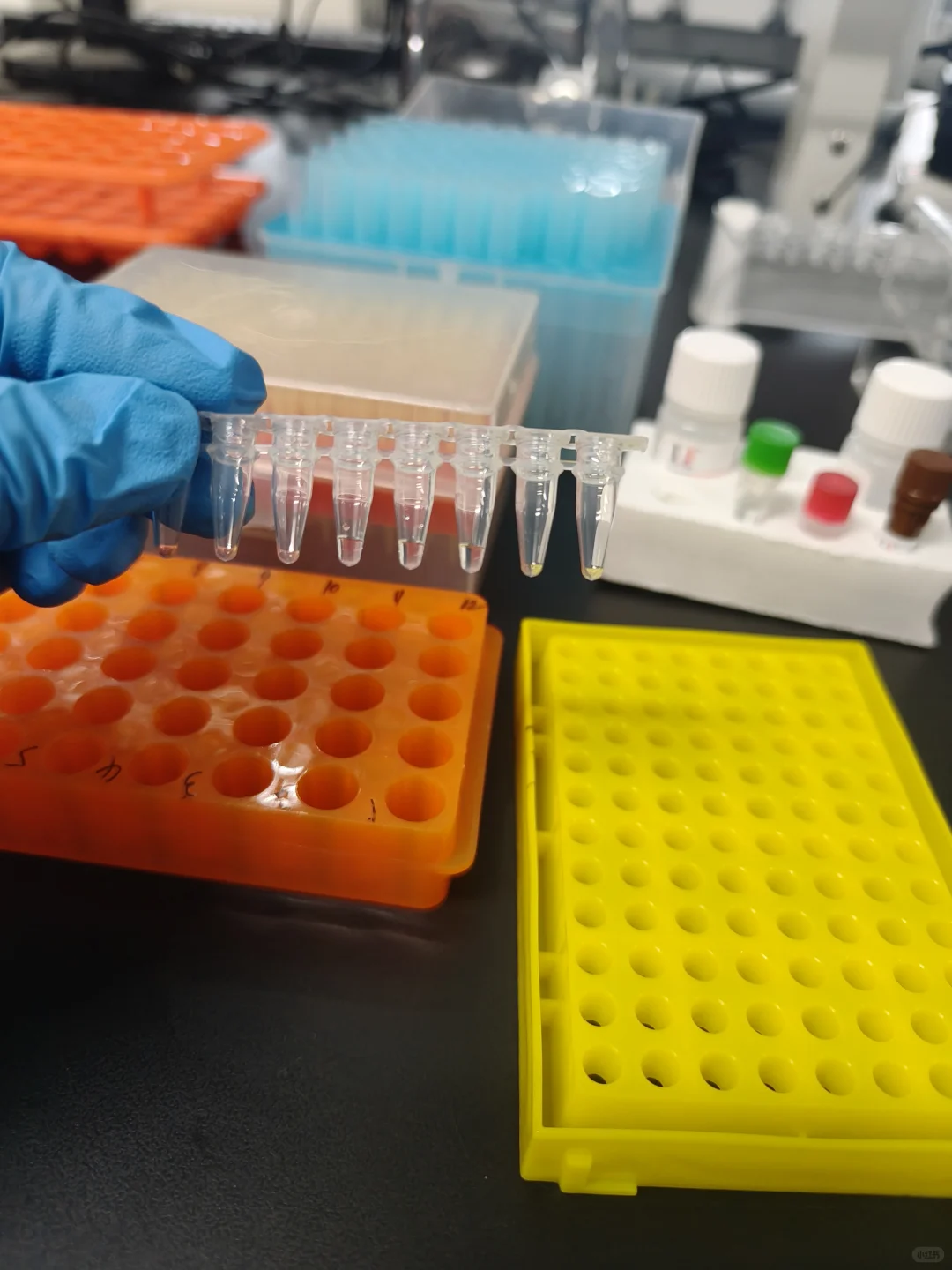 分子试验的一天