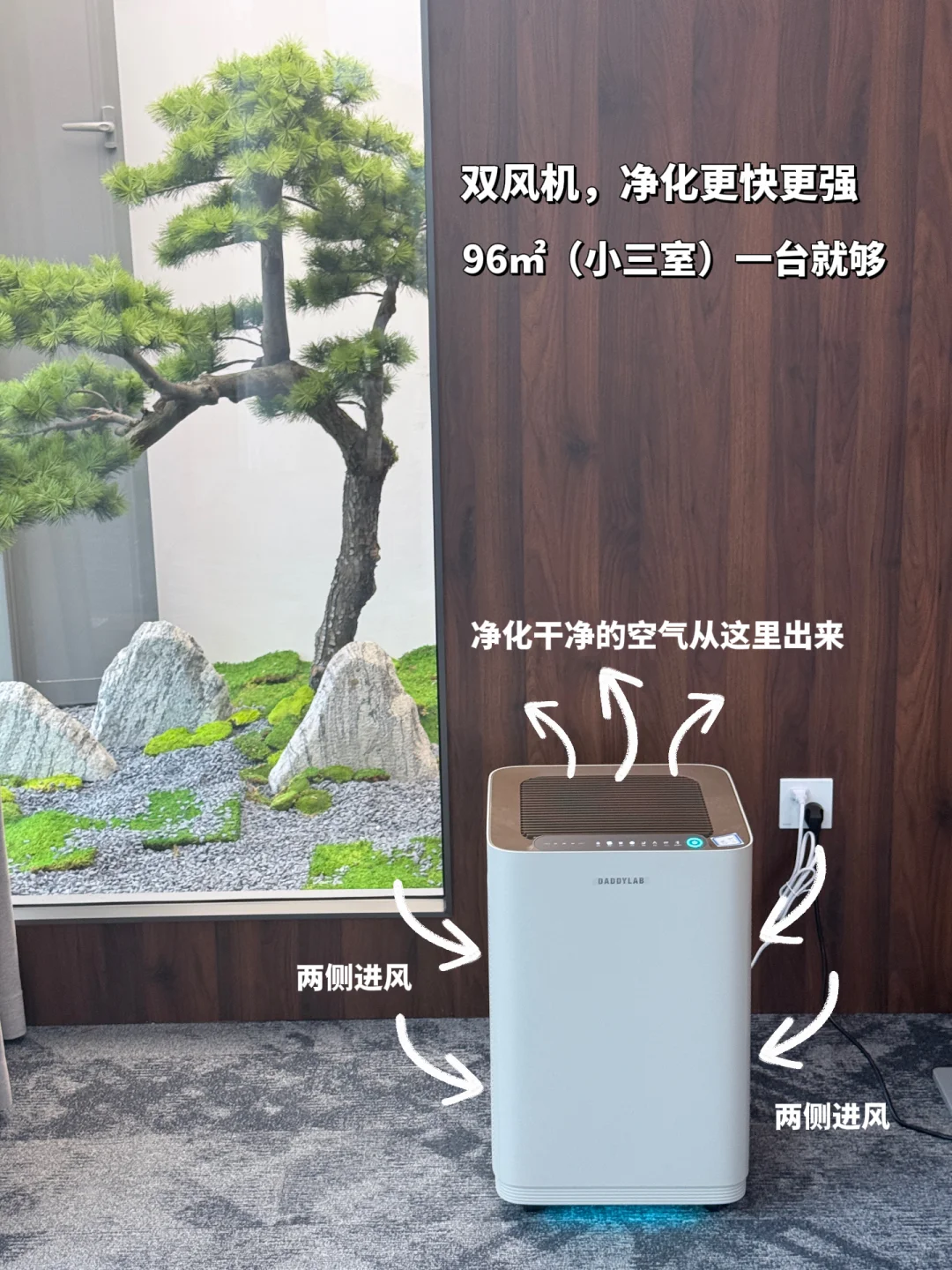 ?这个净化器的吸力也太强了叭！！