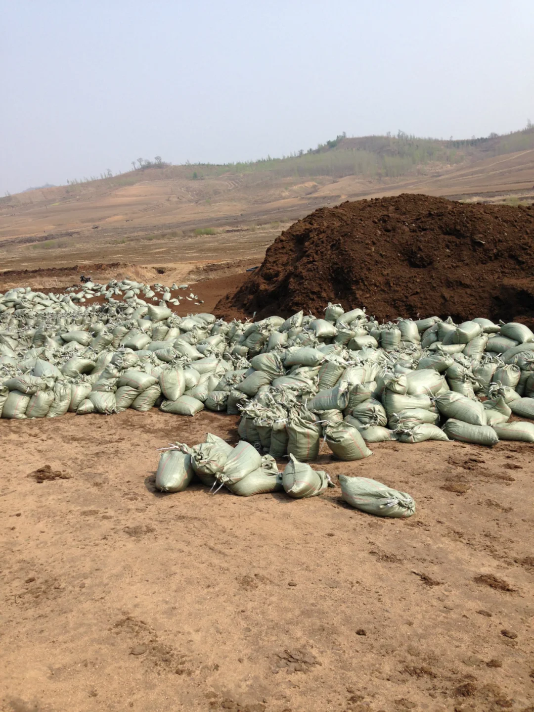 北京泥炭土改善土壤