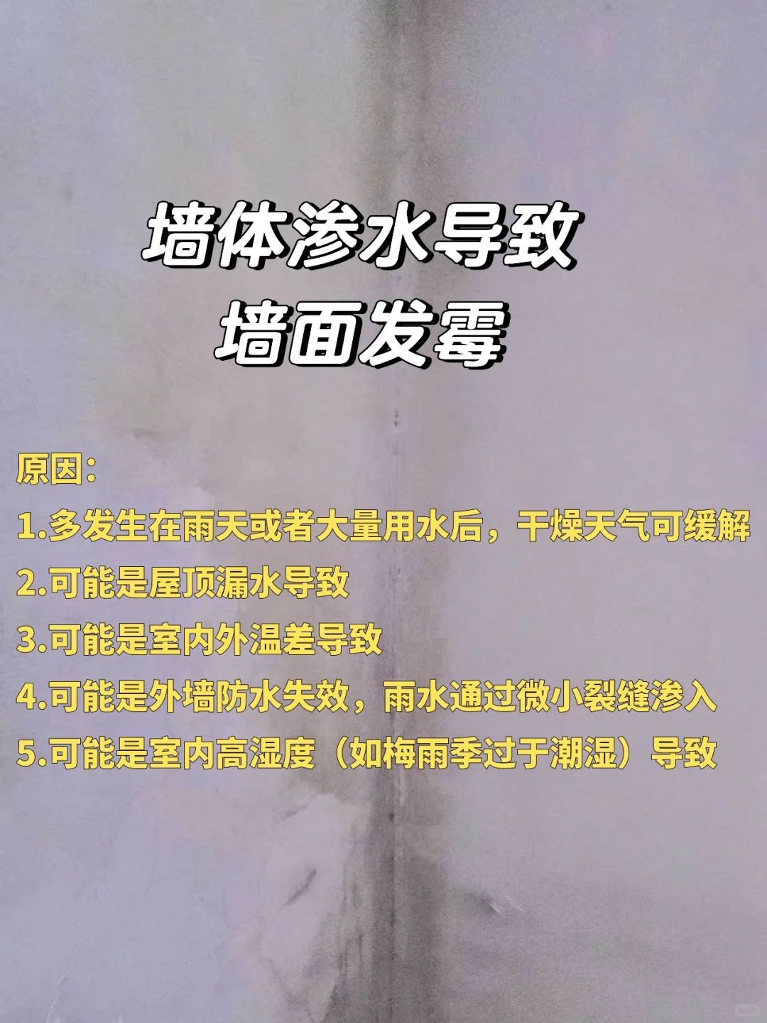 雨季又来了！墙面渗水/漏水怎么办？