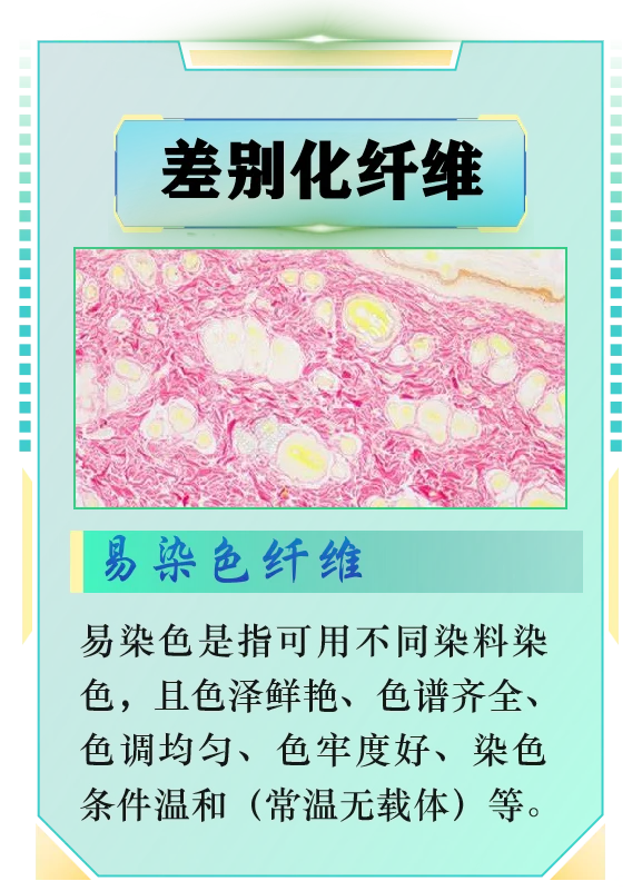 [纺织材料01]常见纤维分类方式：差别化纤维