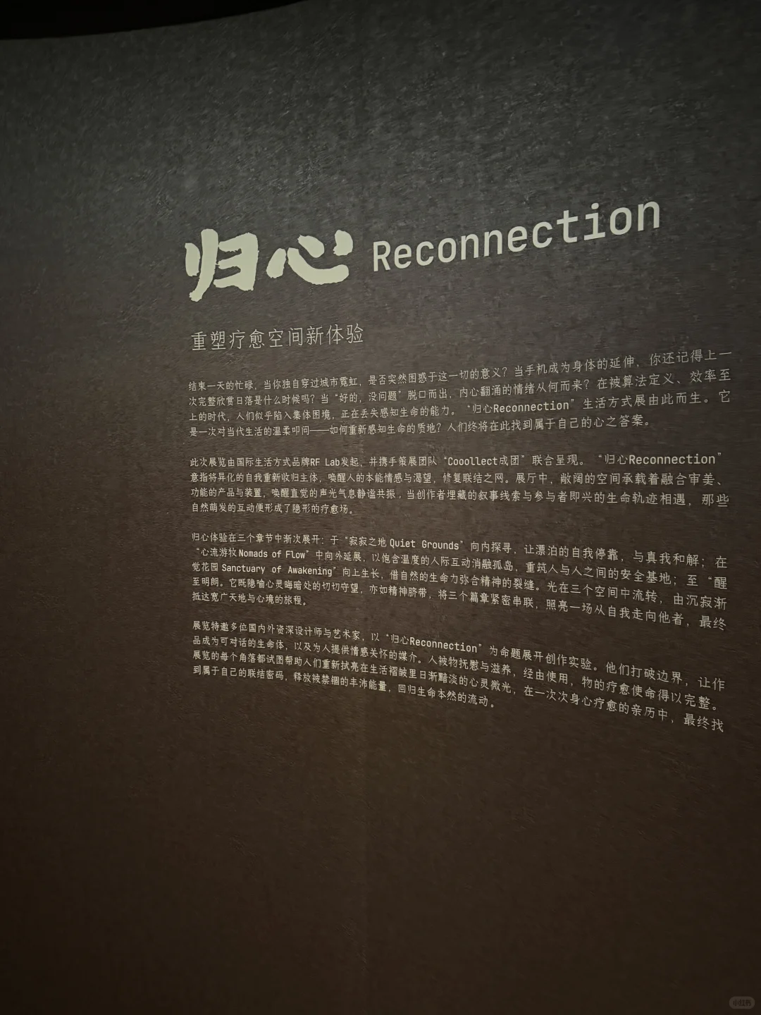 上海新展｜来自马来西亚的疗愈之旅