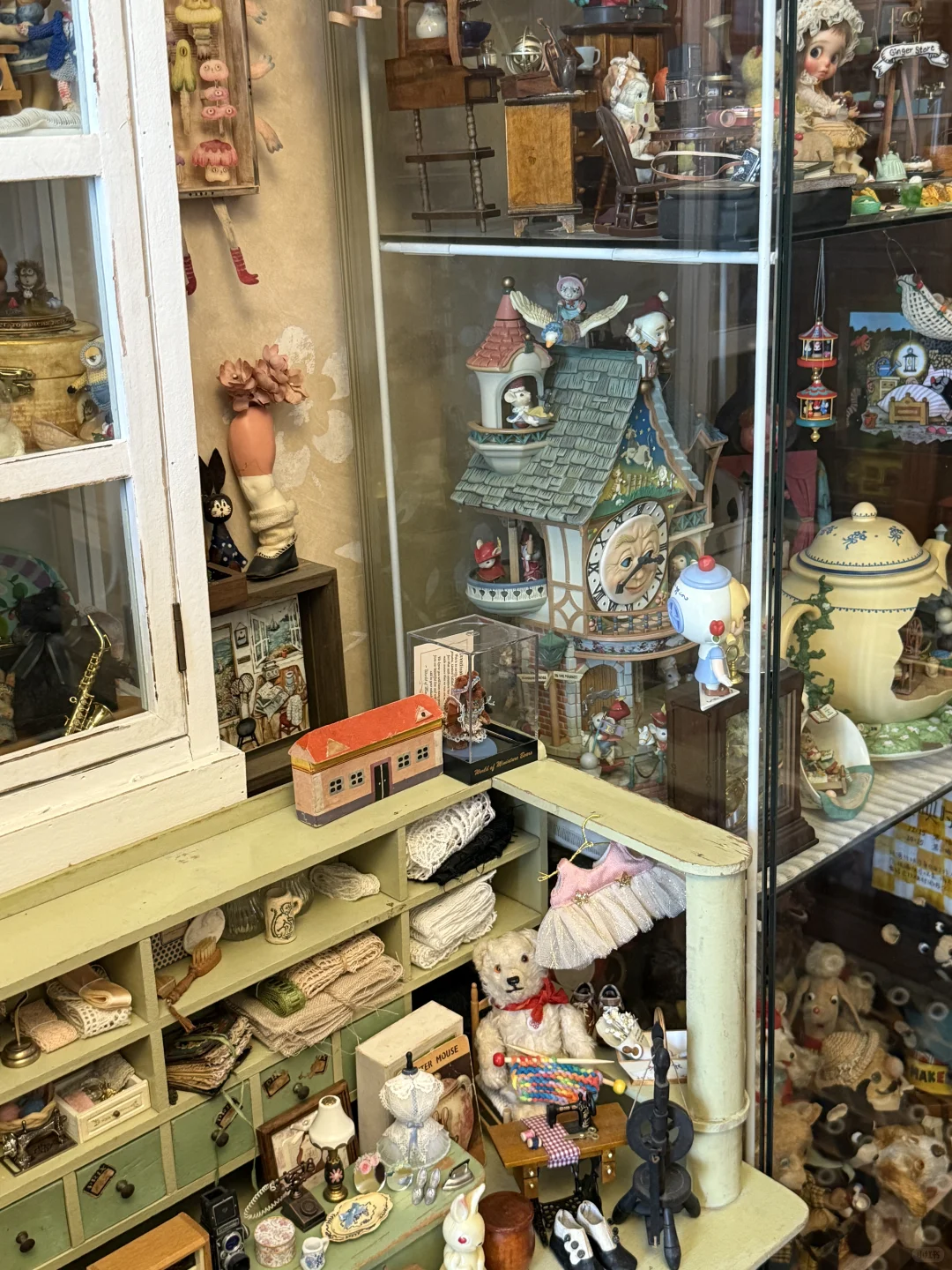 ?珍奇屋｜我家奇奇怪怪的玩物收藏?