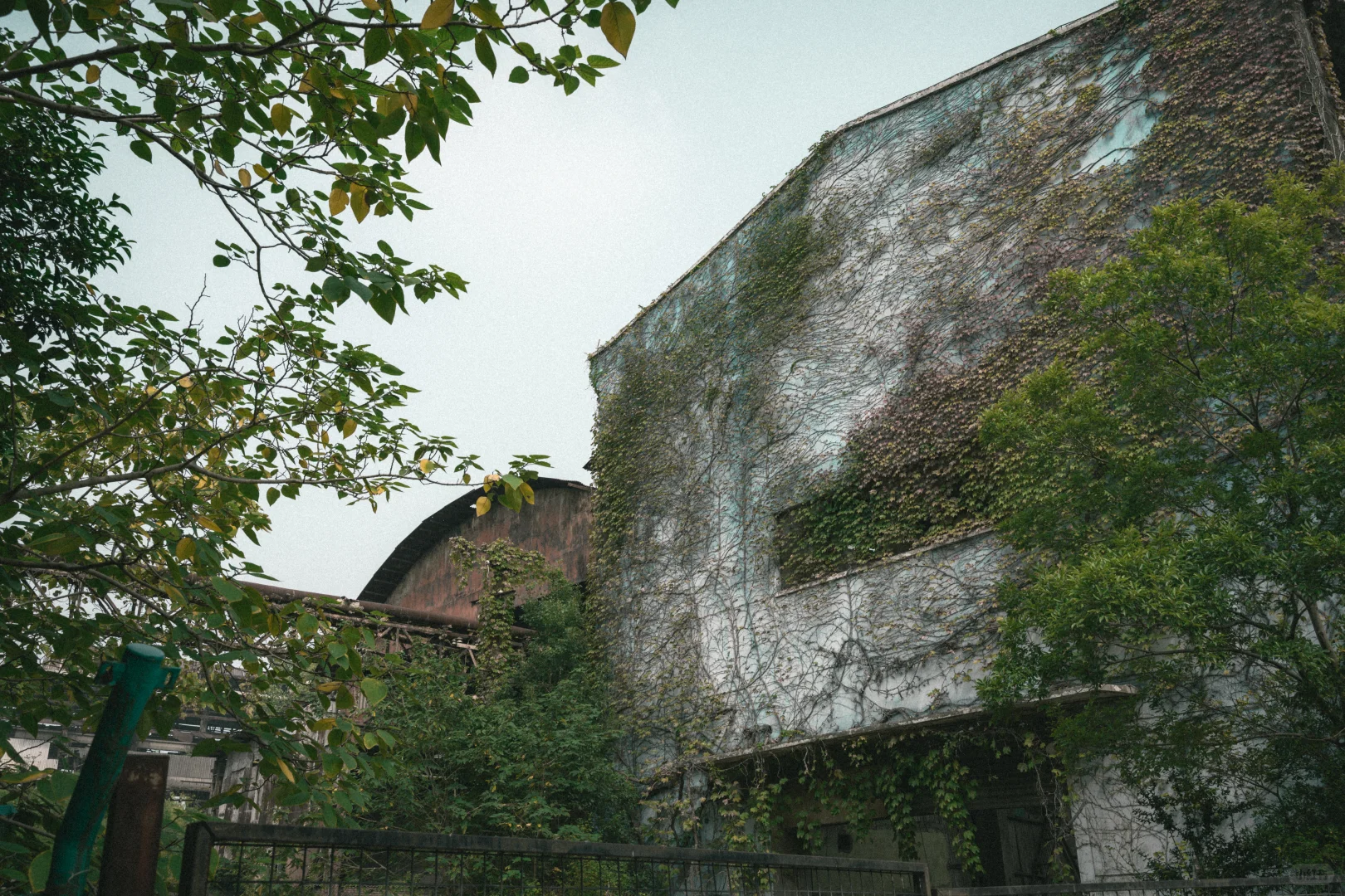 残骸与新生，大自然改造了废弃工厂