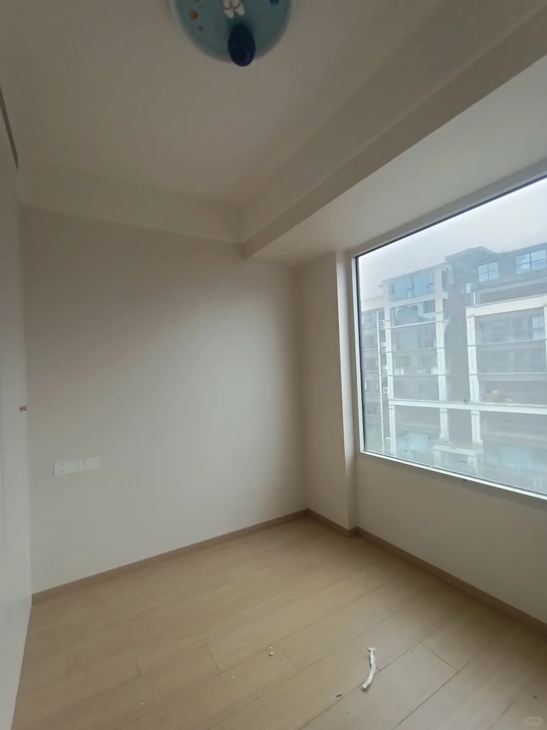 听雨石效果美爆啦|三棵树