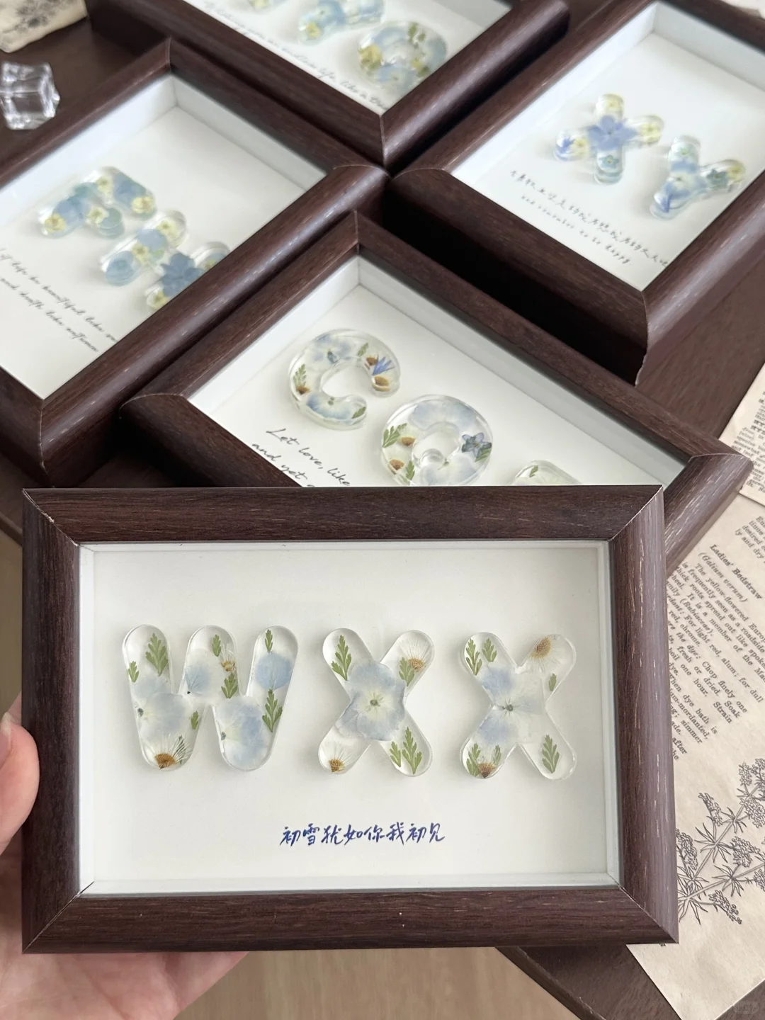 你我初见 犹如初雪