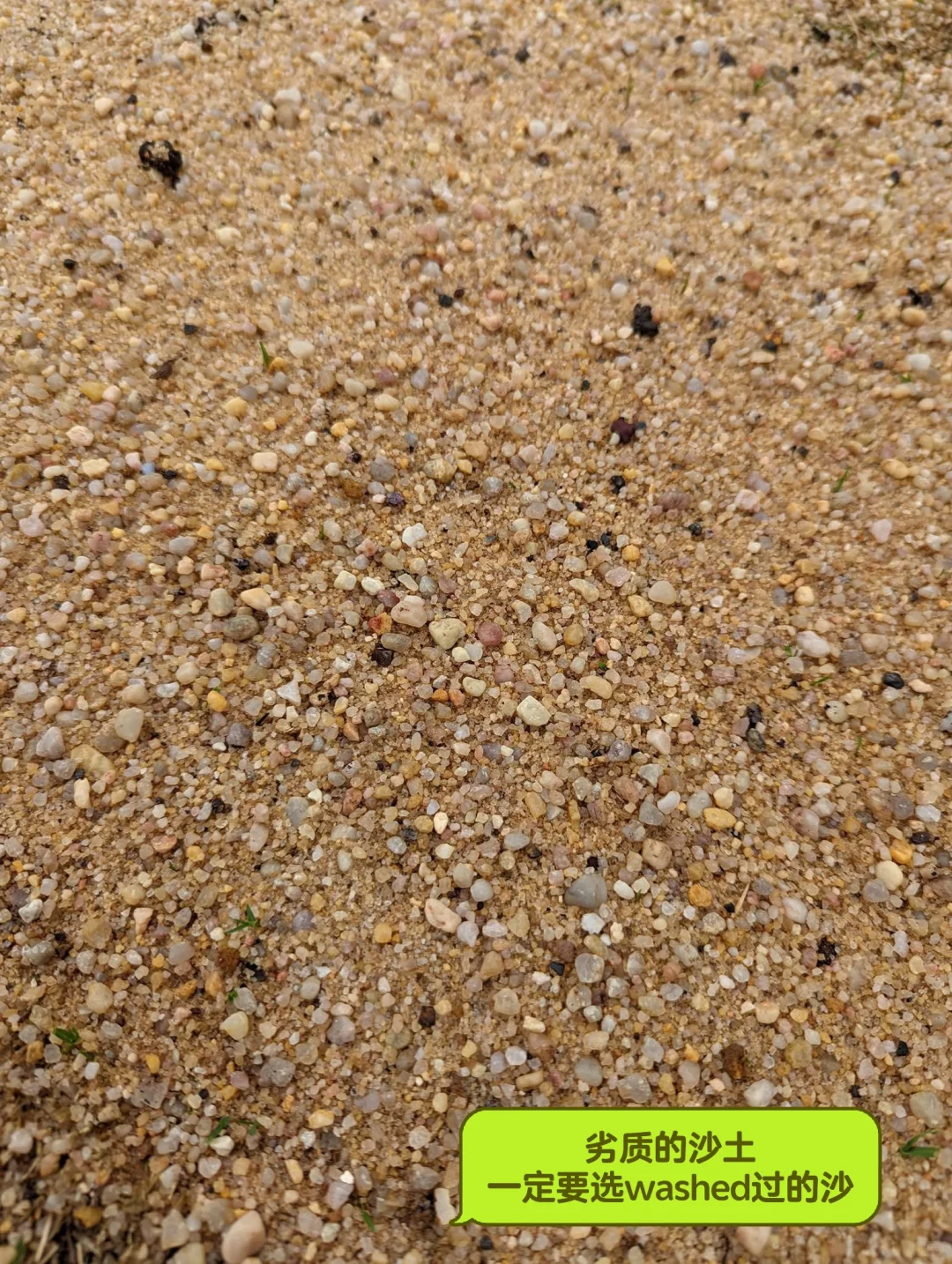 ?? 补土 top dressing 草坪维护