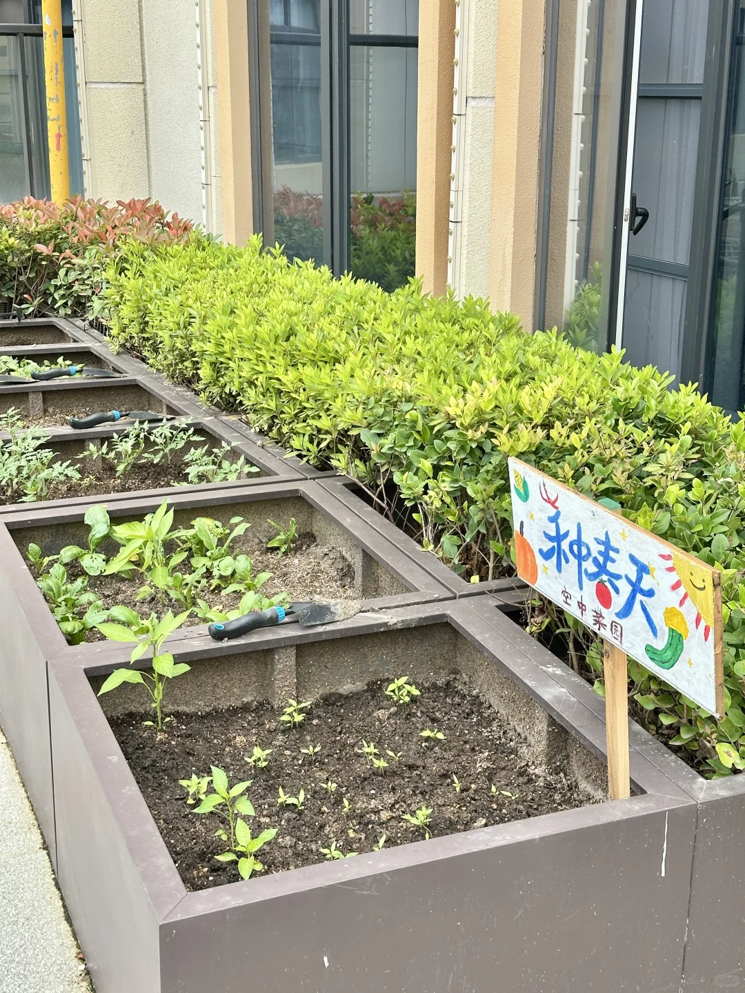 南昌市中心养老天花板被我找到了！