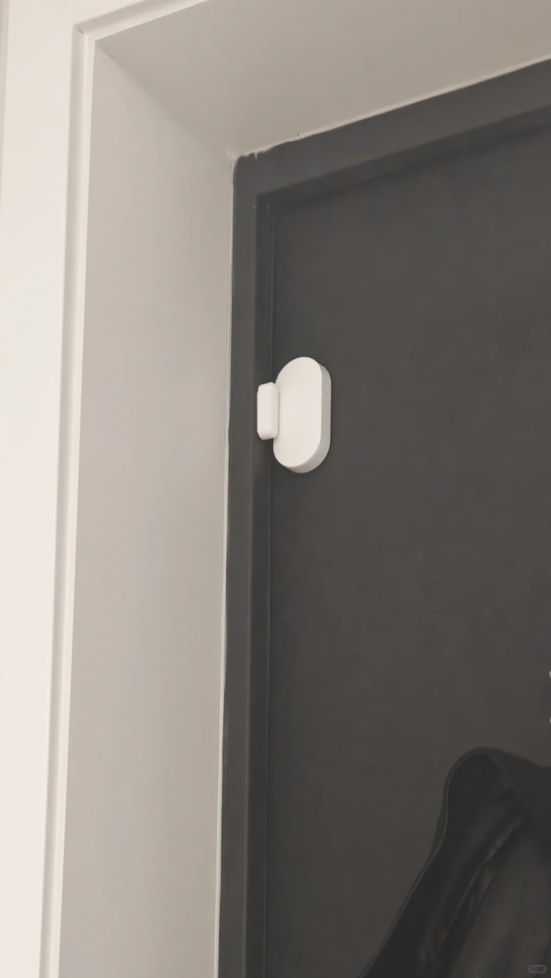 搬了5次家都没扔掉（2）