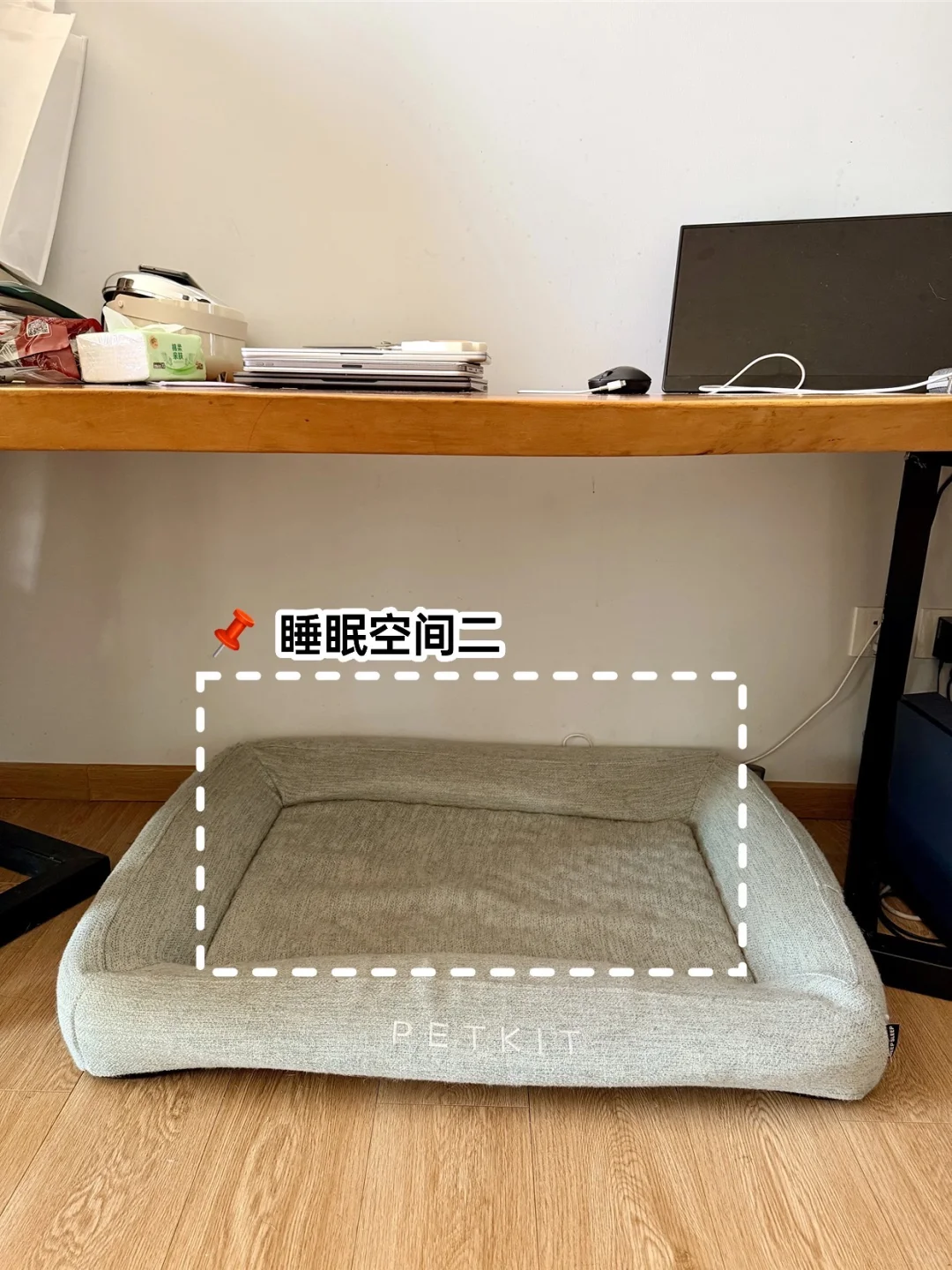 老年犬家庭适老化改造（下）｜防滑和睡眠