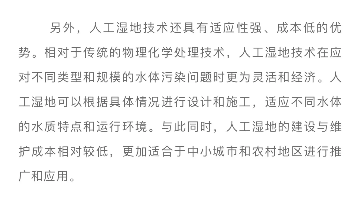 人工湿地技术在水环境修复中的应用