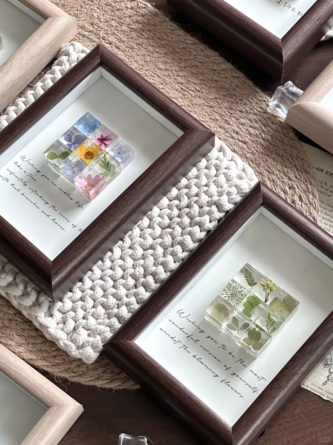 初夏??꙳⋆?♡ ◟