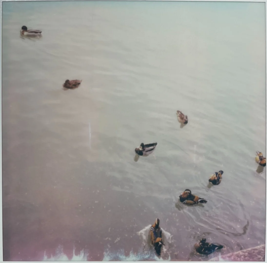 当你在阴天带一堆奇怪设备去颐和园