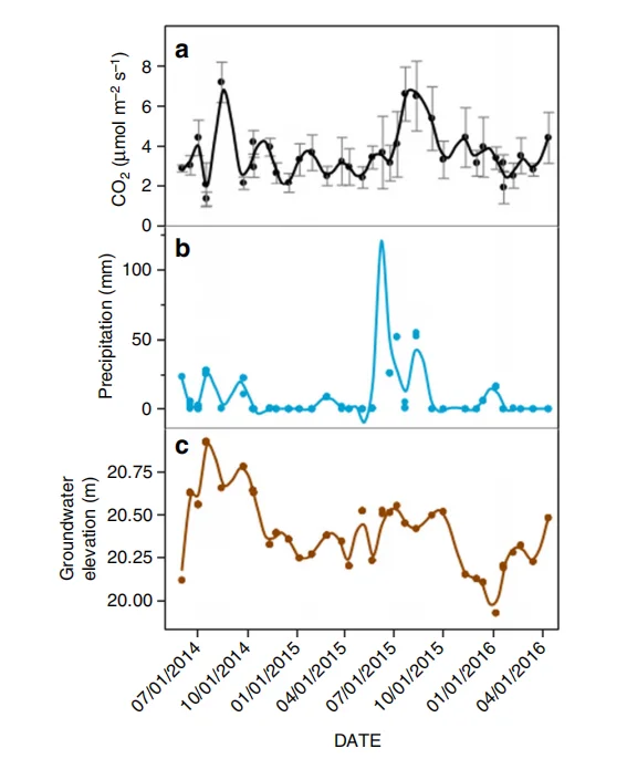 干旱及其后土壤碳（C）动态
