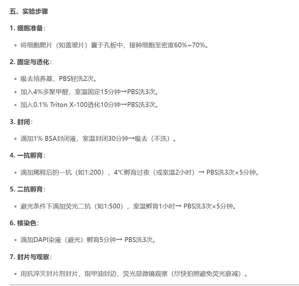 ?细胞免疫荧光实验超全攻略|新手必看✨