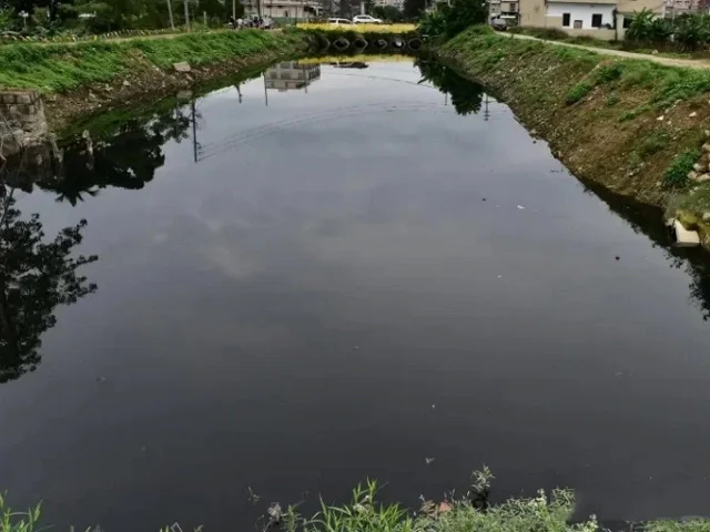 生态修复是江河湖库水体污染治理的主流