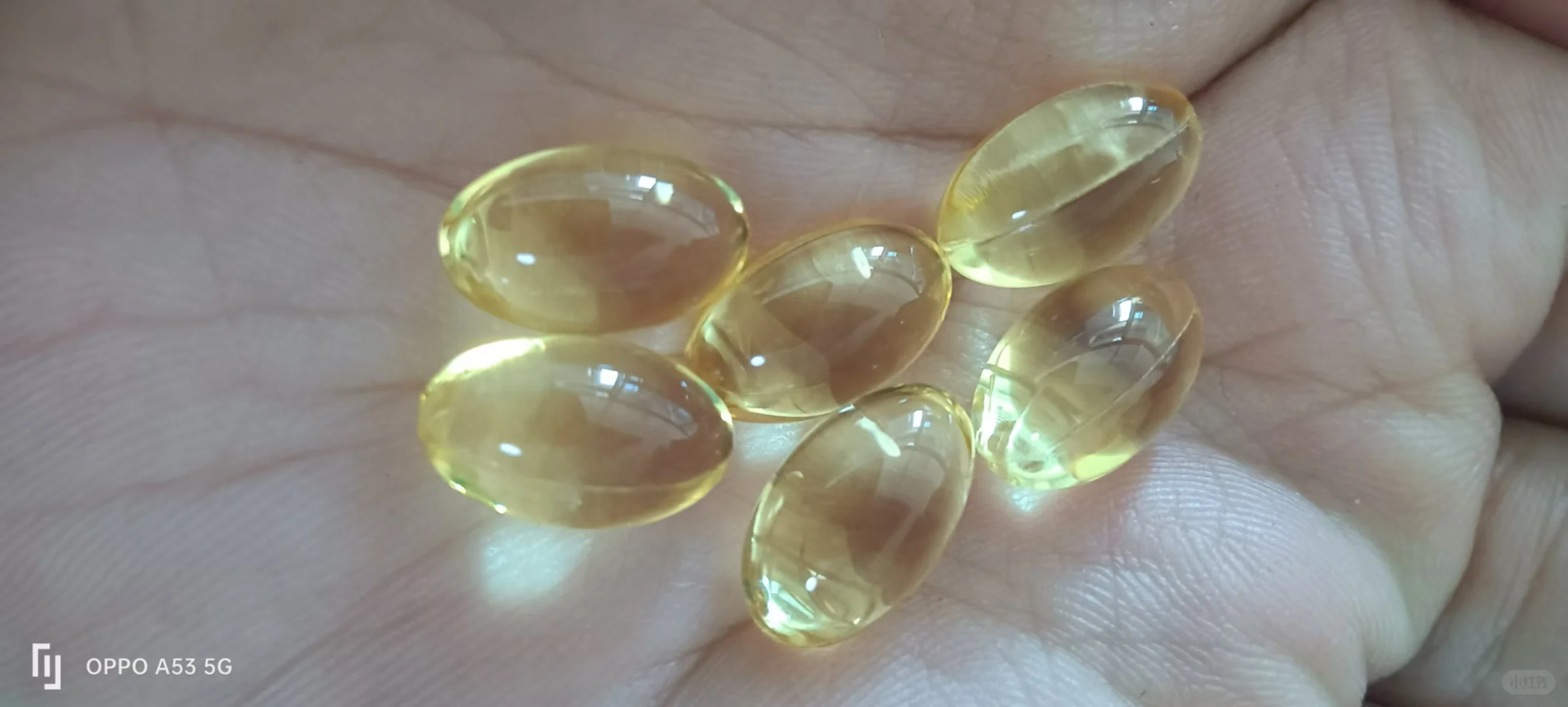 保健食品哪家强，中国山东找百合