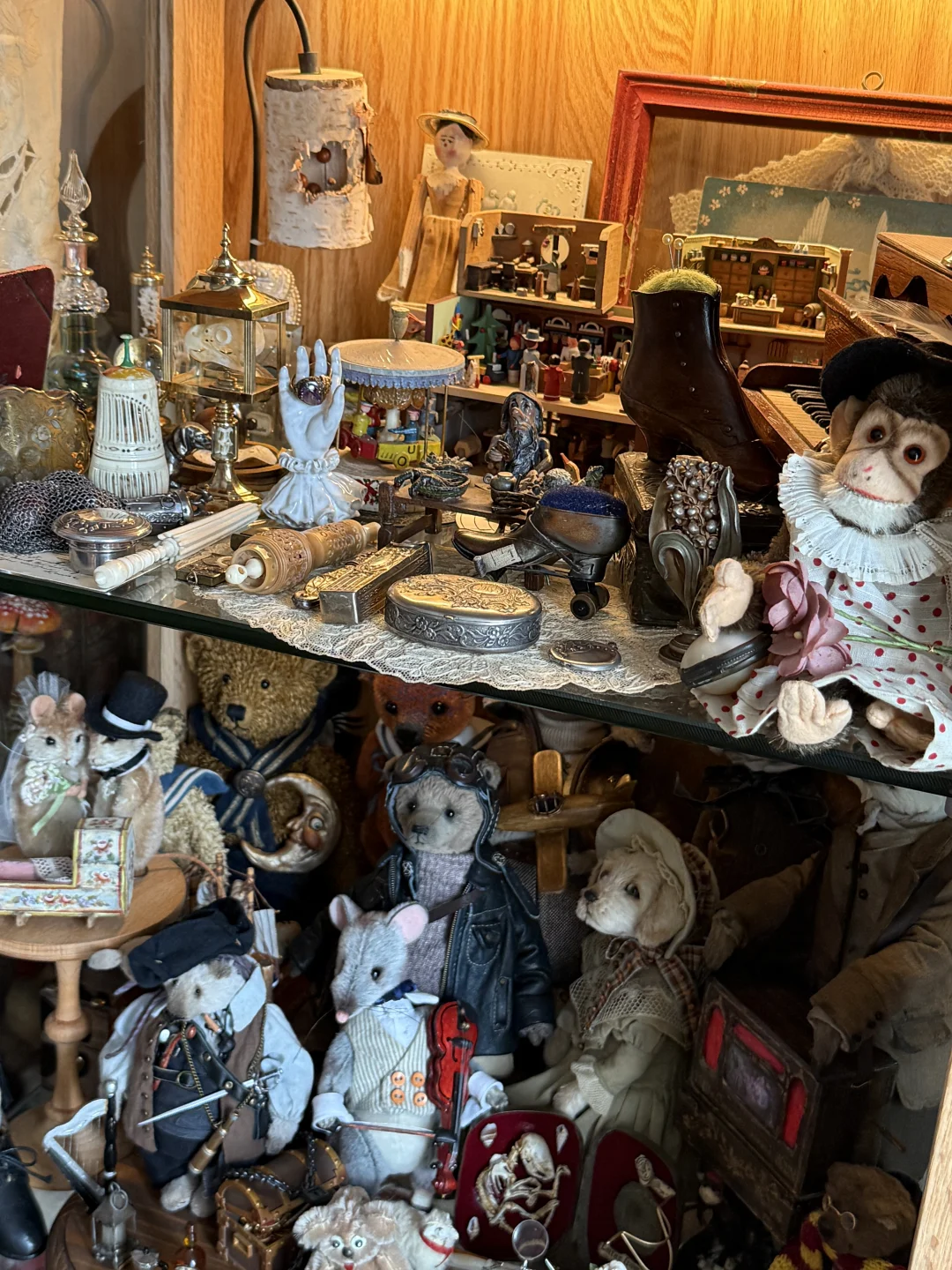 ?珍奇屋｜我家奇奇怪怪的玩物收藏?